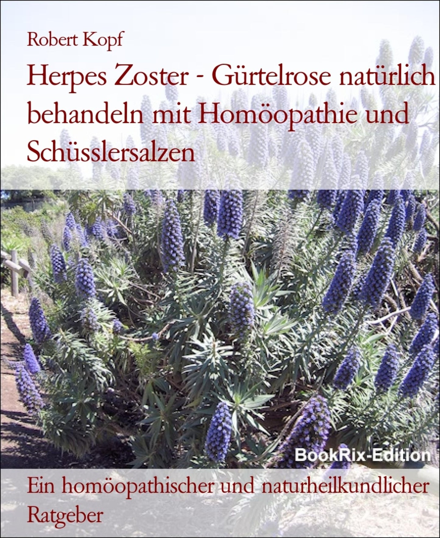 Herpes Zoster, Gürtelrose Behandlung mit Homöopathie, Schüsslersalzen (Biochemie) und Naturheilkunde: Ein homöopathischer, biochemischer und naturheilkundlicher Ratgeber