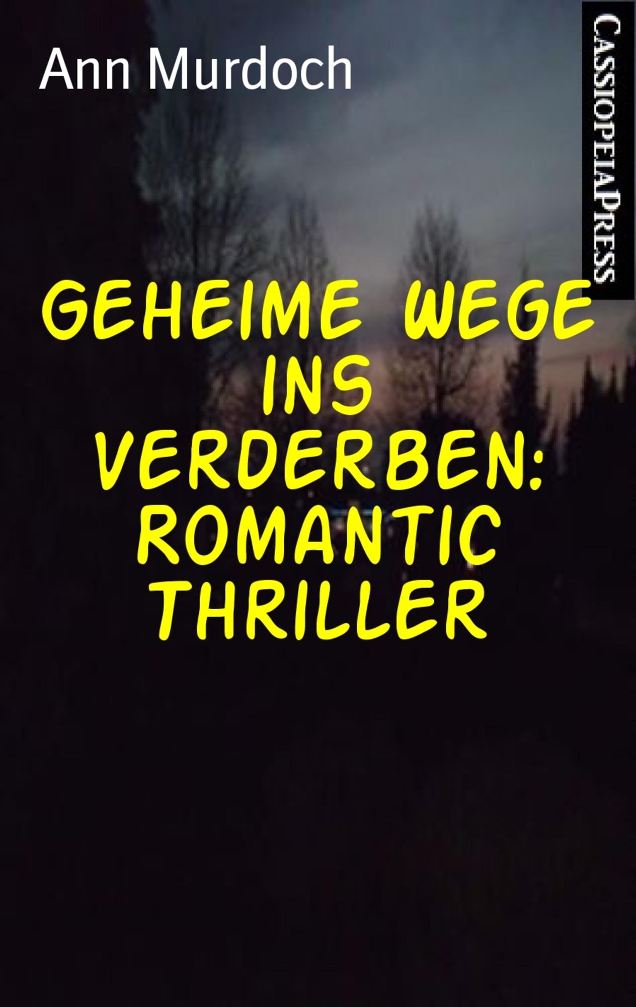 Geheime Wege ins Verderben: Romantic Thriller: Cassiopeiapress Spannung