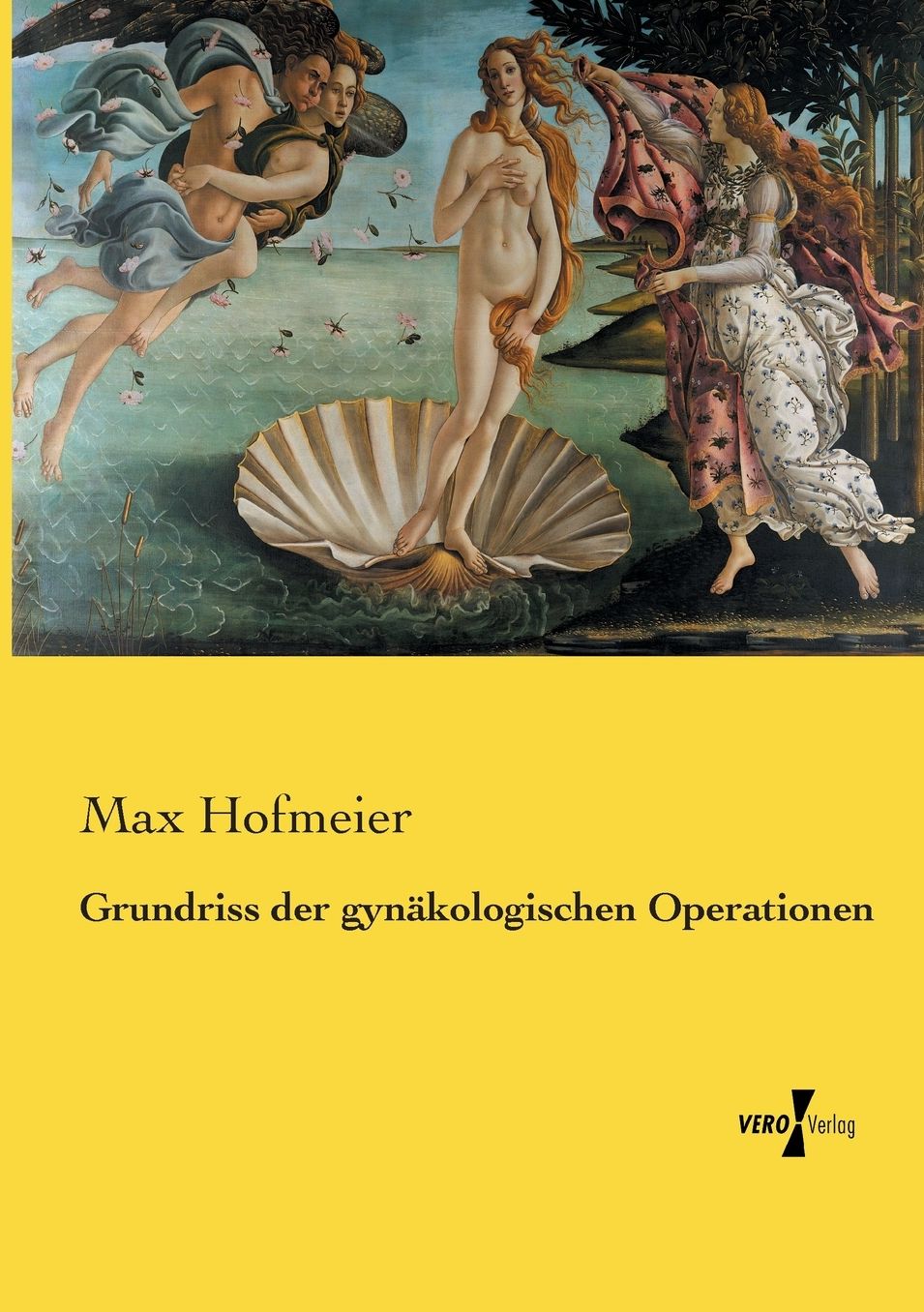 Grundriss der gynï¿½kologischen Operationen