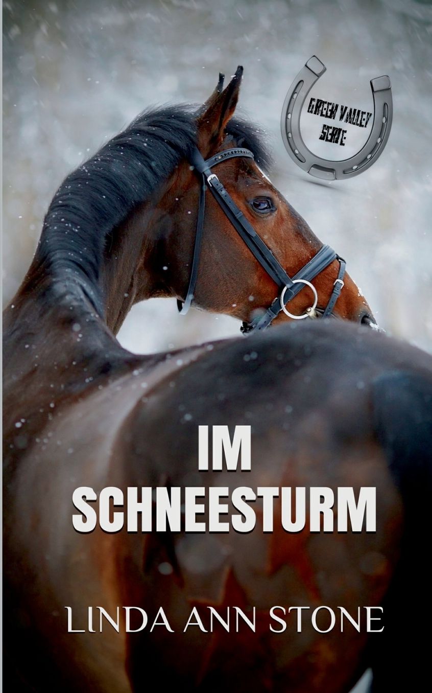Im Schneesturm