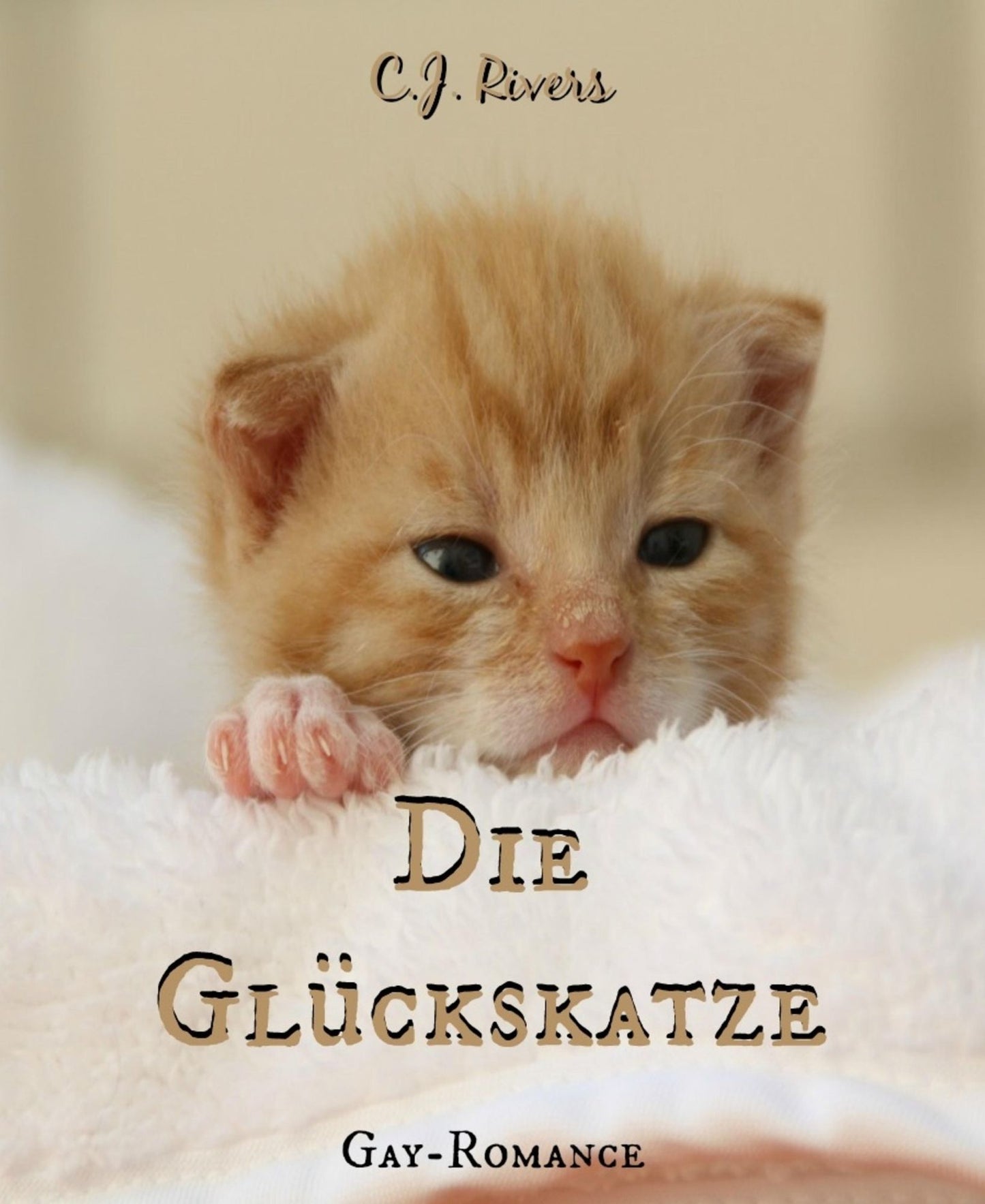 Die Glückskatze: Gay Romance