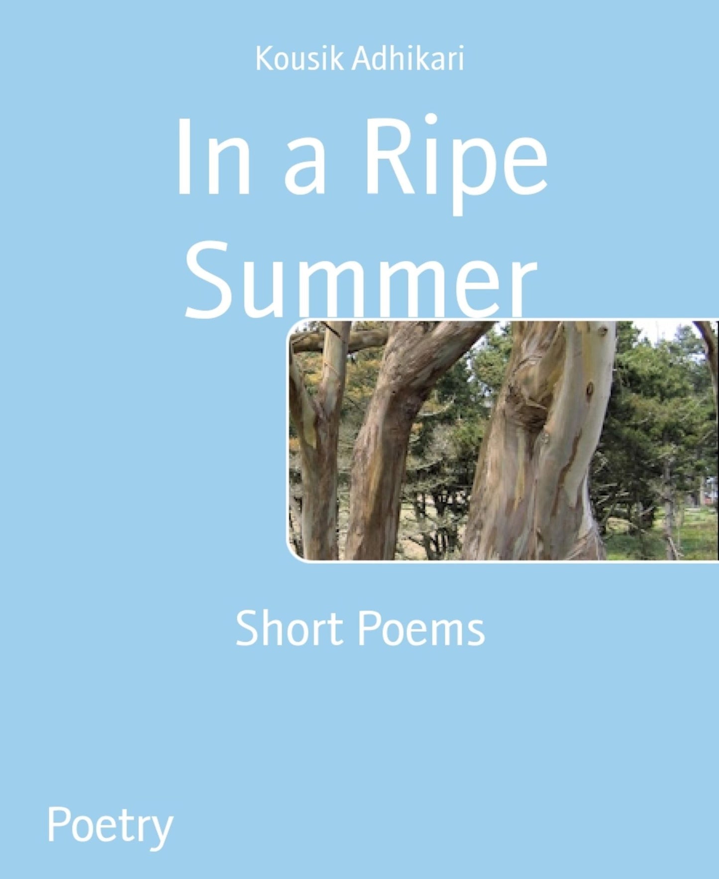 In a Ripe Summer: Short Poems