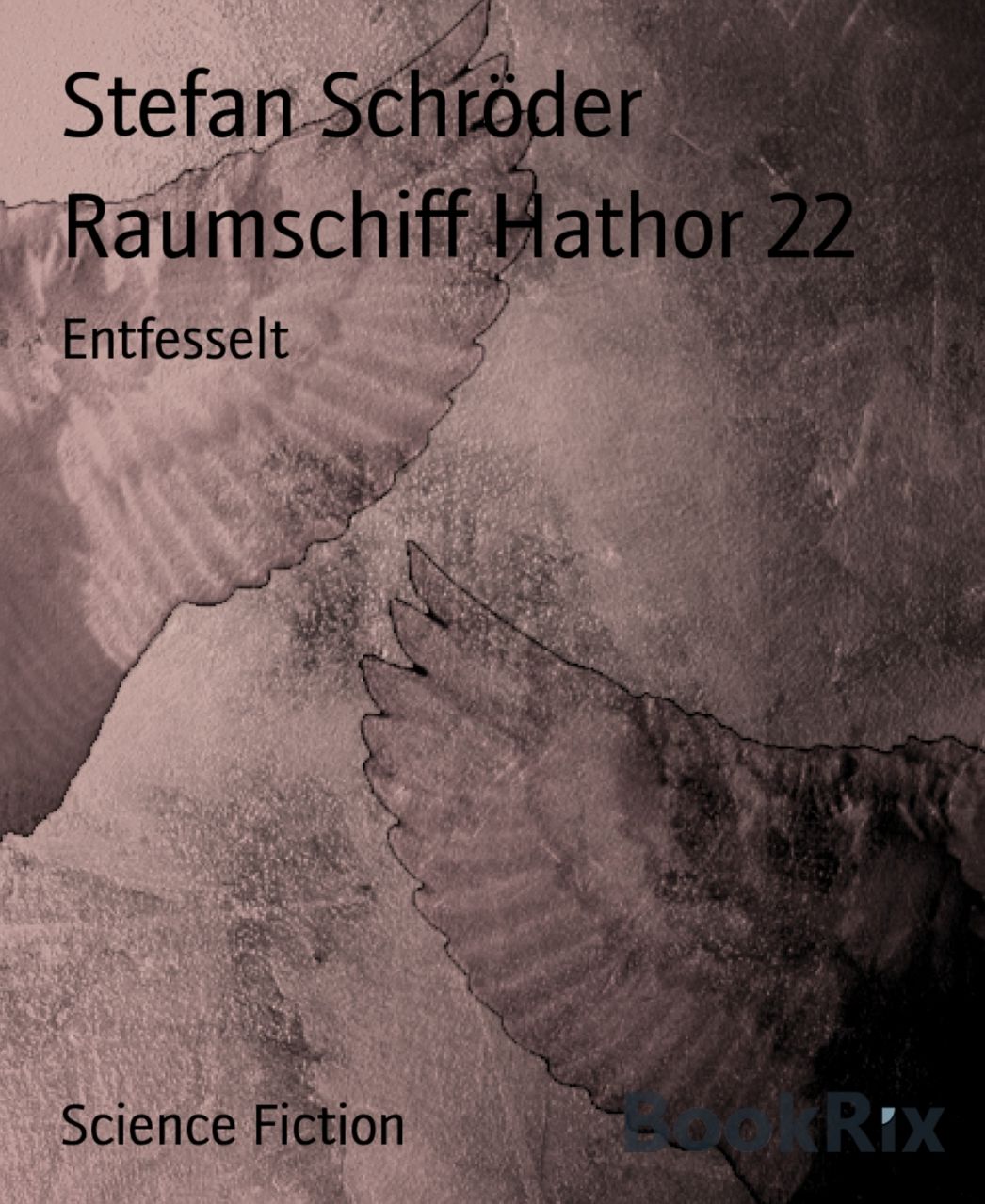 Raumschiff Hathor 22: Entfesselt