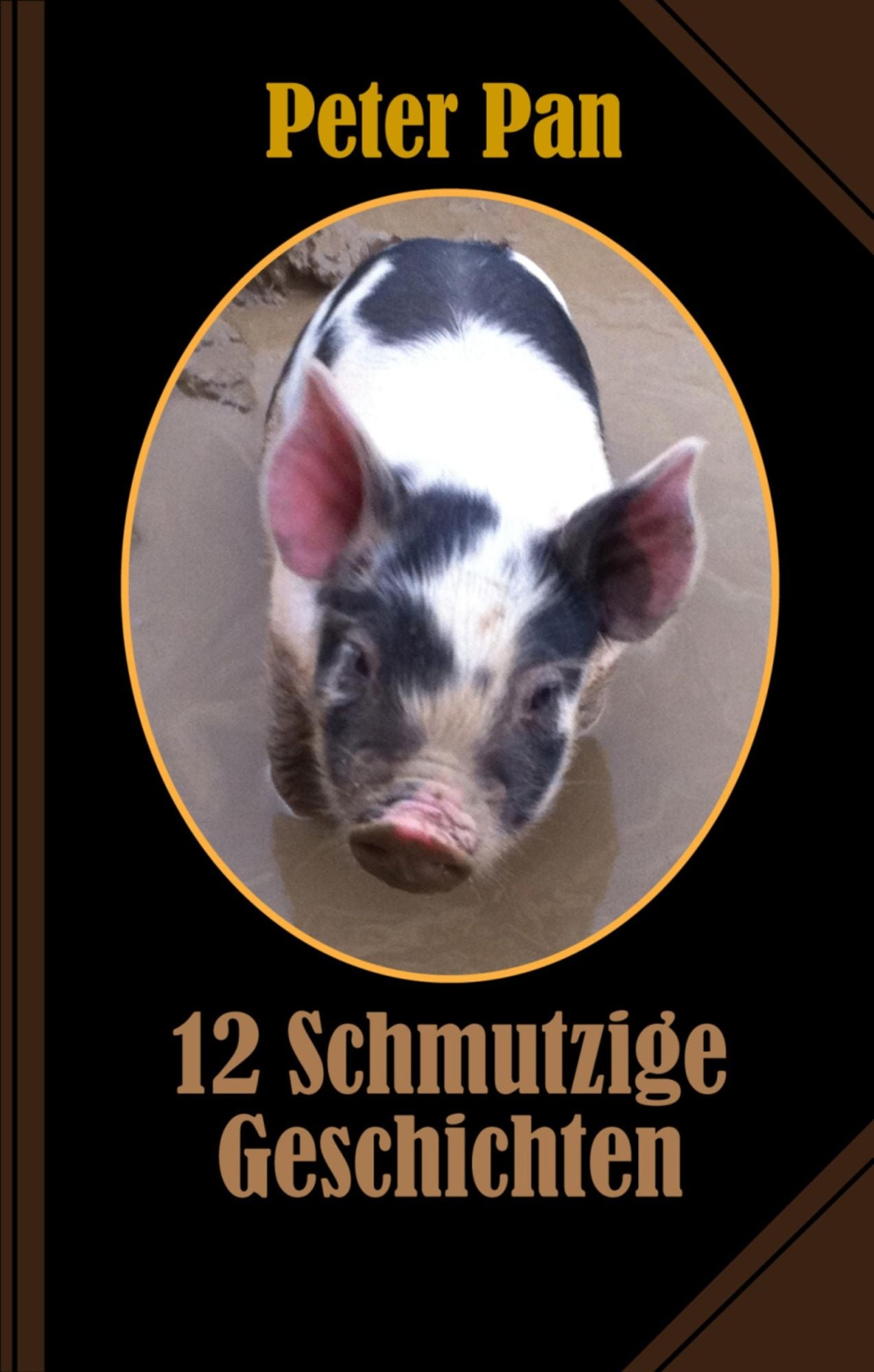 Schmutzige Geschichten: Zwölf erotische Leckerbissen