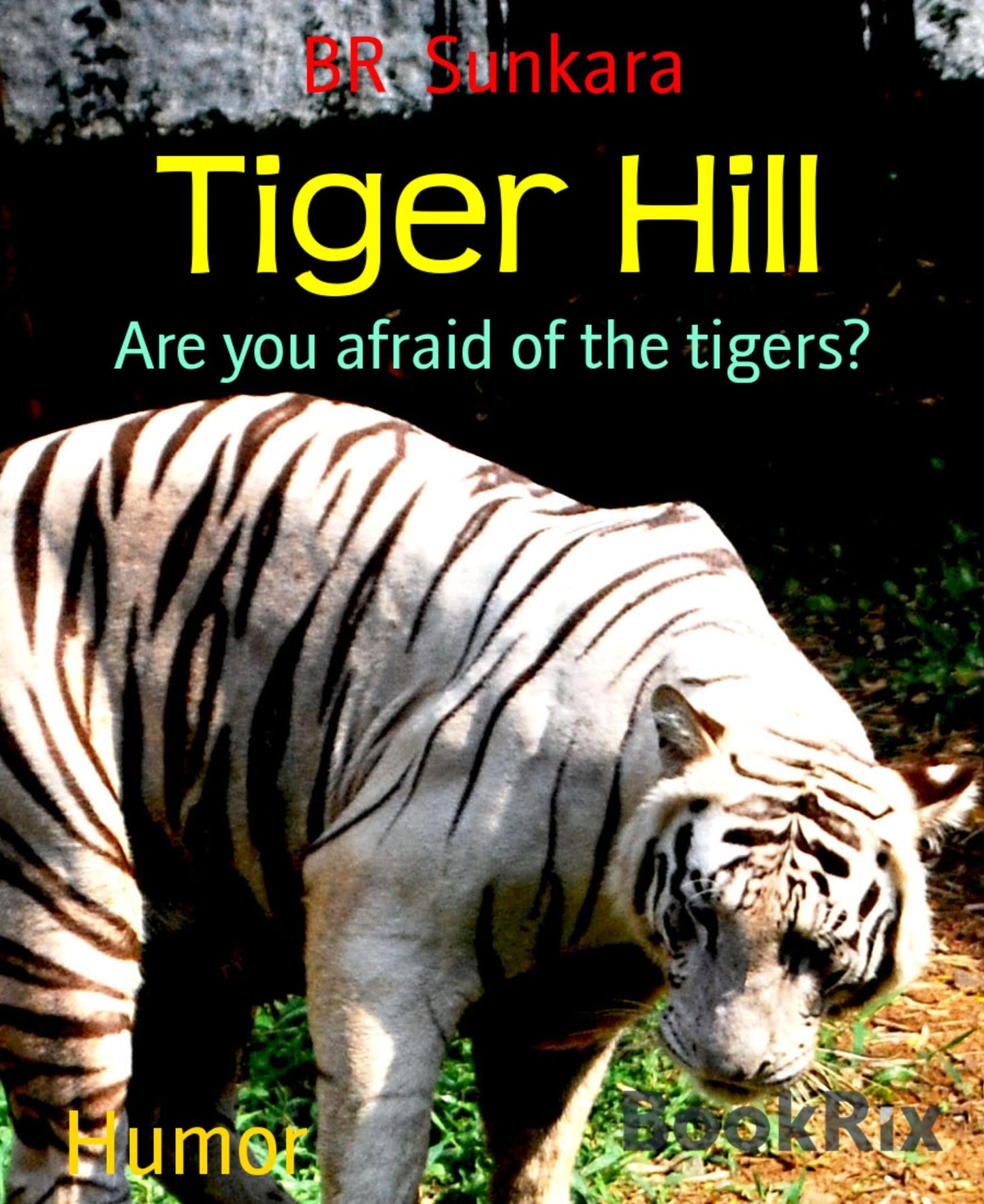 Tiger Hill: Are you afraid of the tigers?