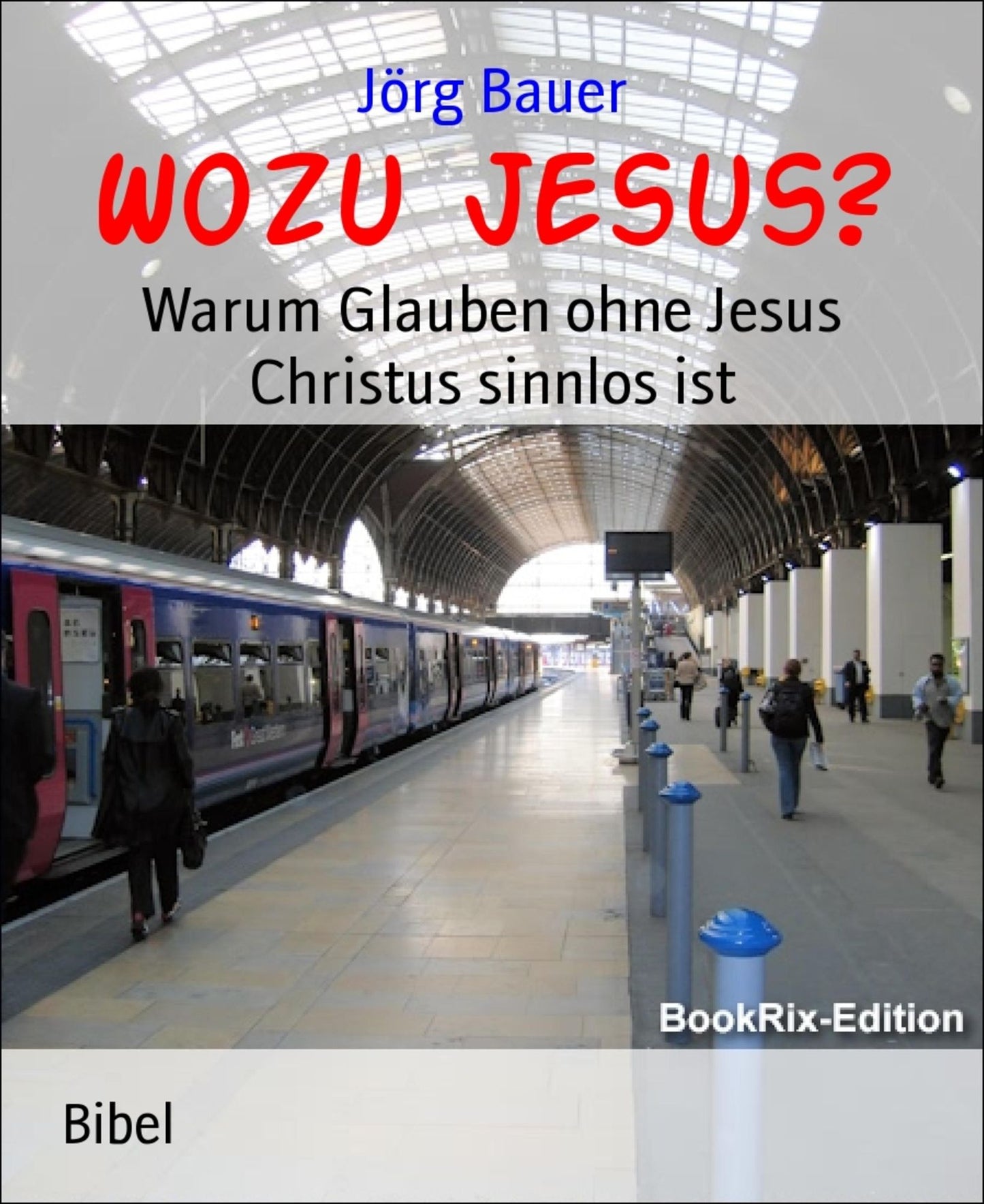 Wozu Jesus?: Warum Glauben ohne Jesus Christus sinnlos ist