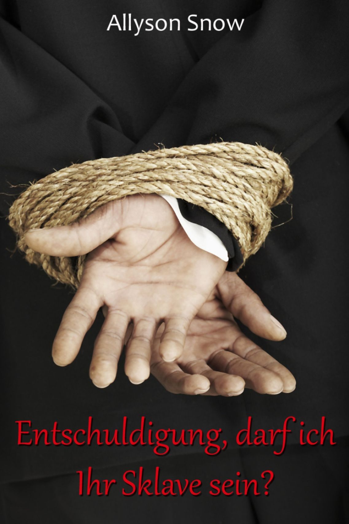 Entschuldigung, darf ich Ihr Sklave sein?: Erotischer Liebesroman