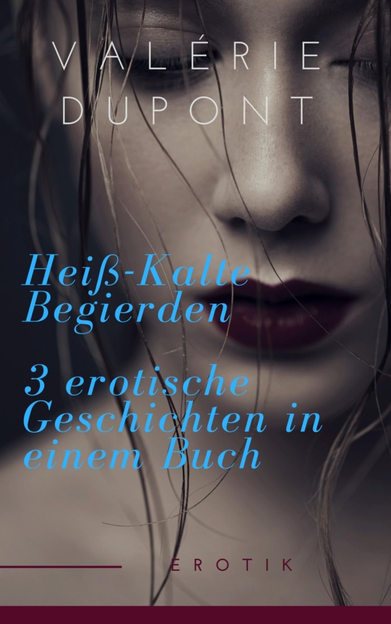Heiß-Kalte Begierden - 3 erotische Geschichten in einem Buch