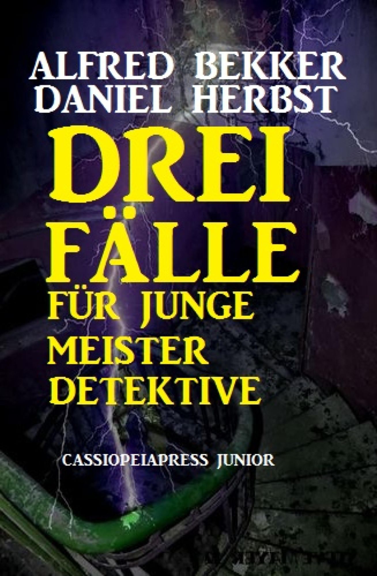 Drei Fälle für junge Meisterdetektive: Cassiopeiapress Junior
