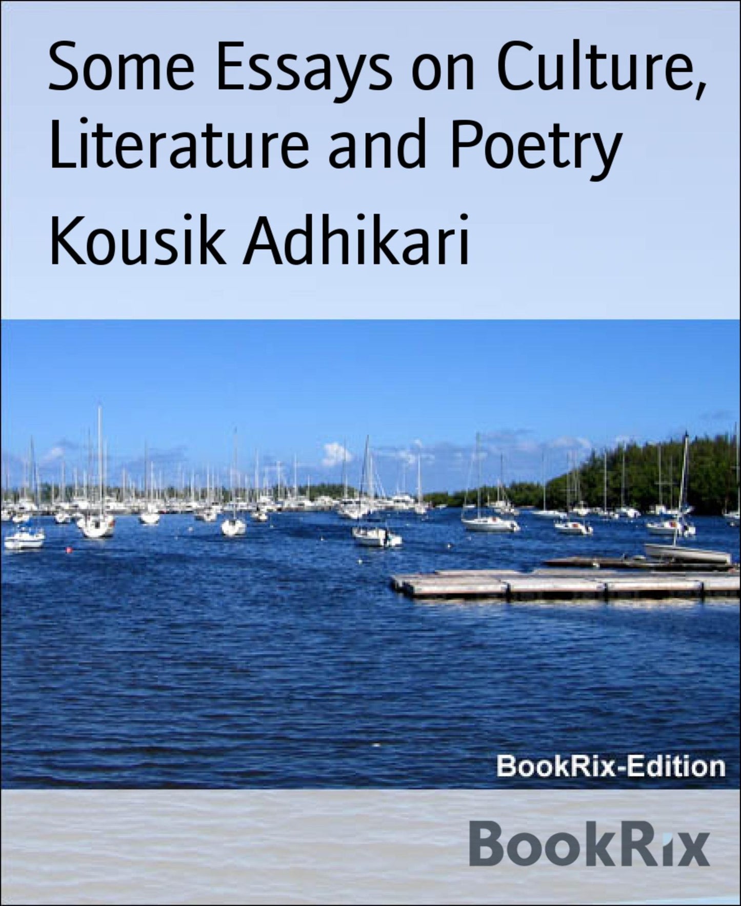 Some Essays on Culture, Literature and Poetry: Essays