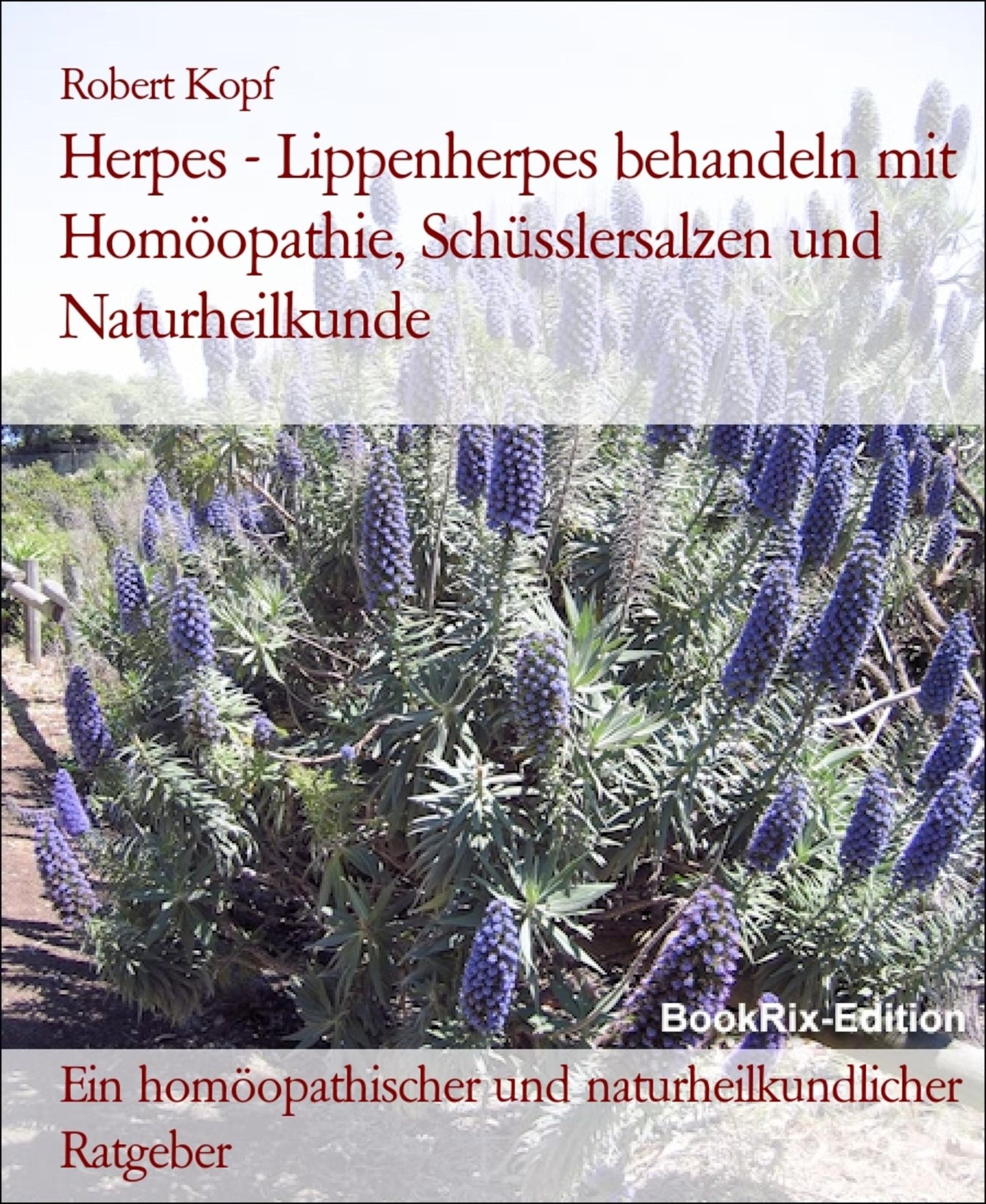 Lippenherpes, Herpes labialis - Fieberblasen behandeln mit Homöopathie, Schüsslersalzen (Biochemie) und Naturheilkunde: Ein homöopathischer, biochemischer und naturheilkundlicher Ratgeber