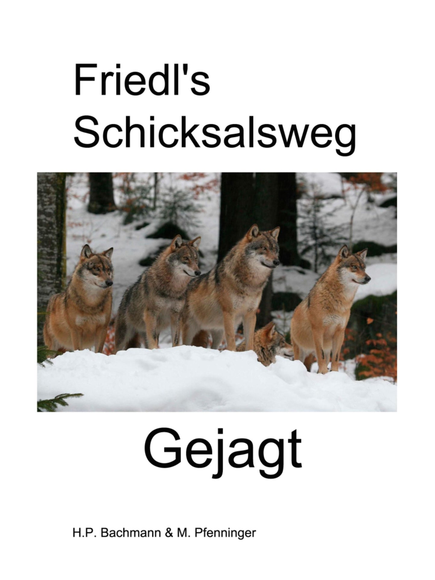 Friedl's Schicksalsweg Buch 2: Gejagt (1918-1922)
