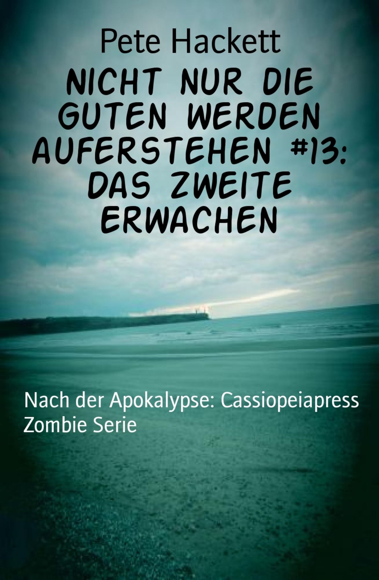 Nicht nur die Guten werden auferstehen #13: Das zweite Erwachen: Nach der Apokalypse: Cassiopeiapress Zombie Serie