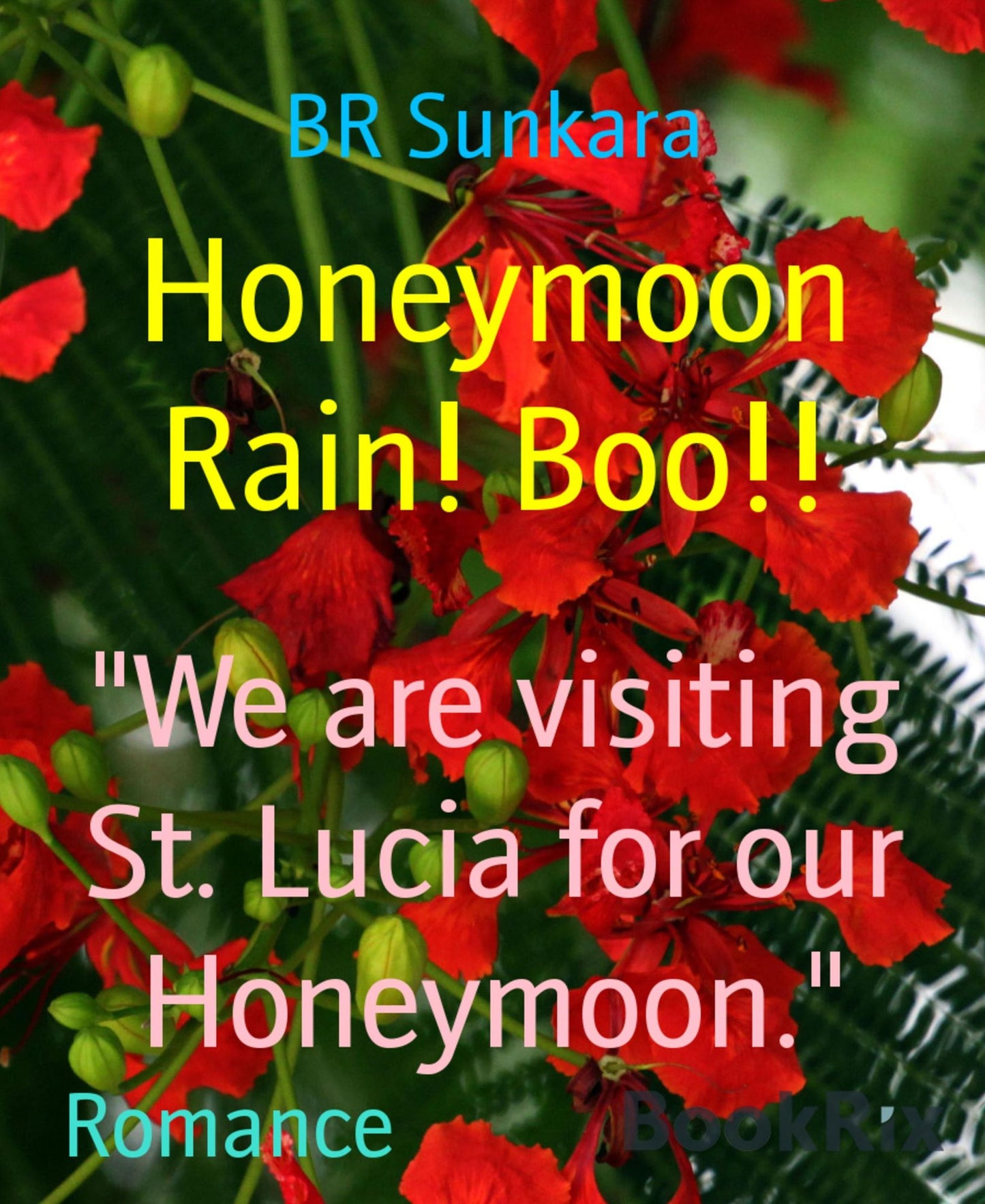 Honeymoon Rain! Boo!!: We are visiting St. Lucia for our Honeymoon.