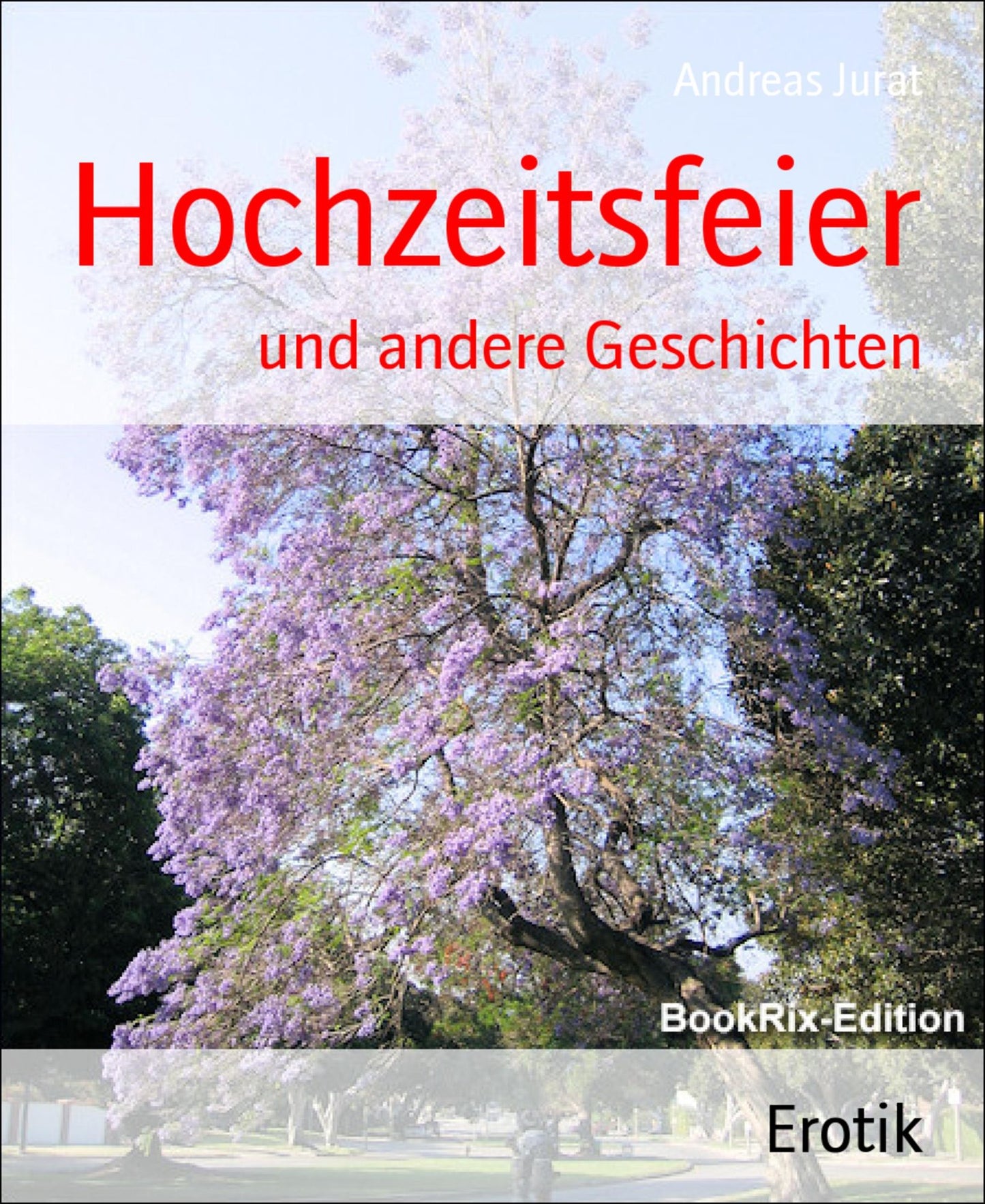 Hochzeitsfeier: und andere Geschichten