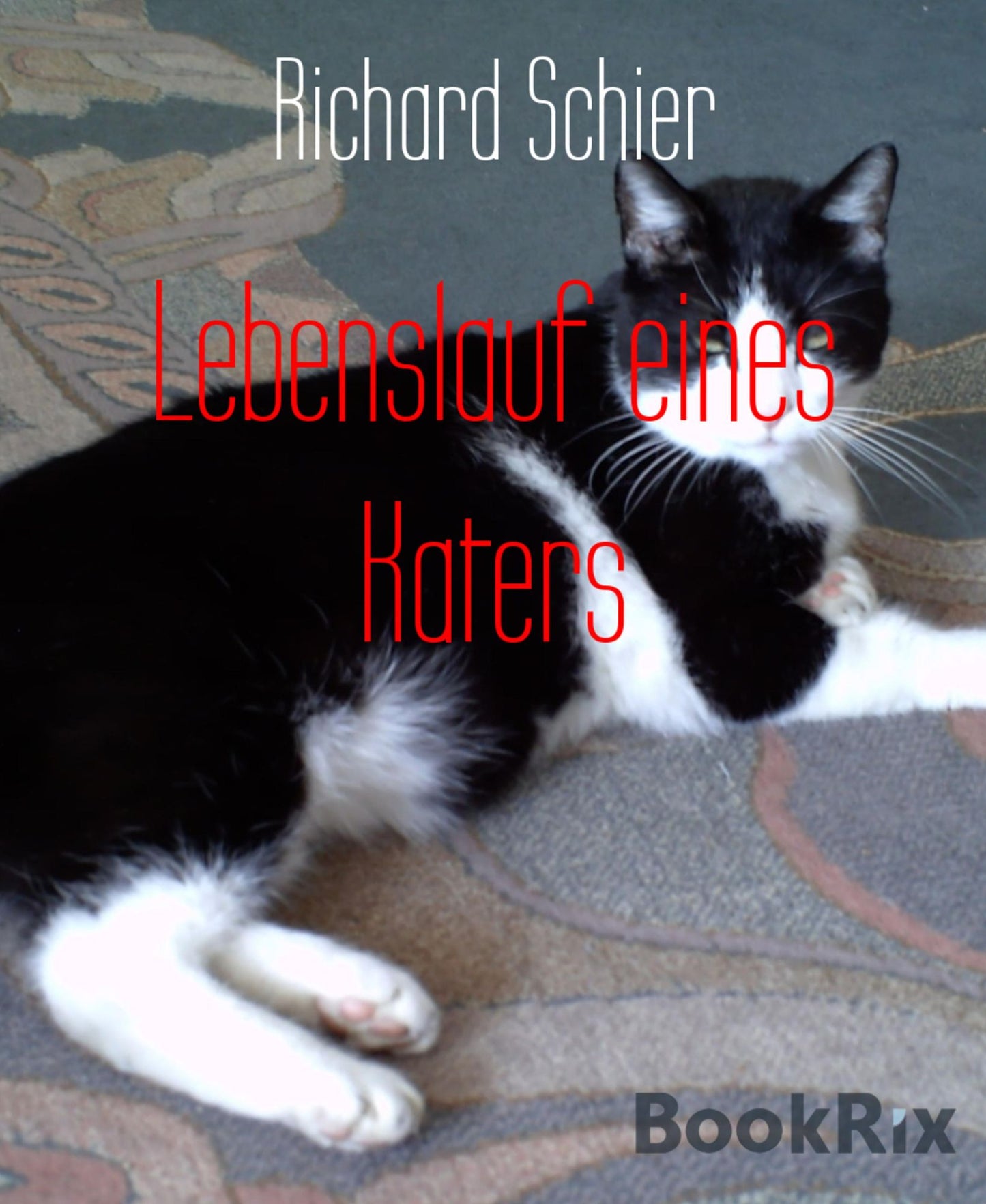 Lebenslauf eines Katers: Kater Tom