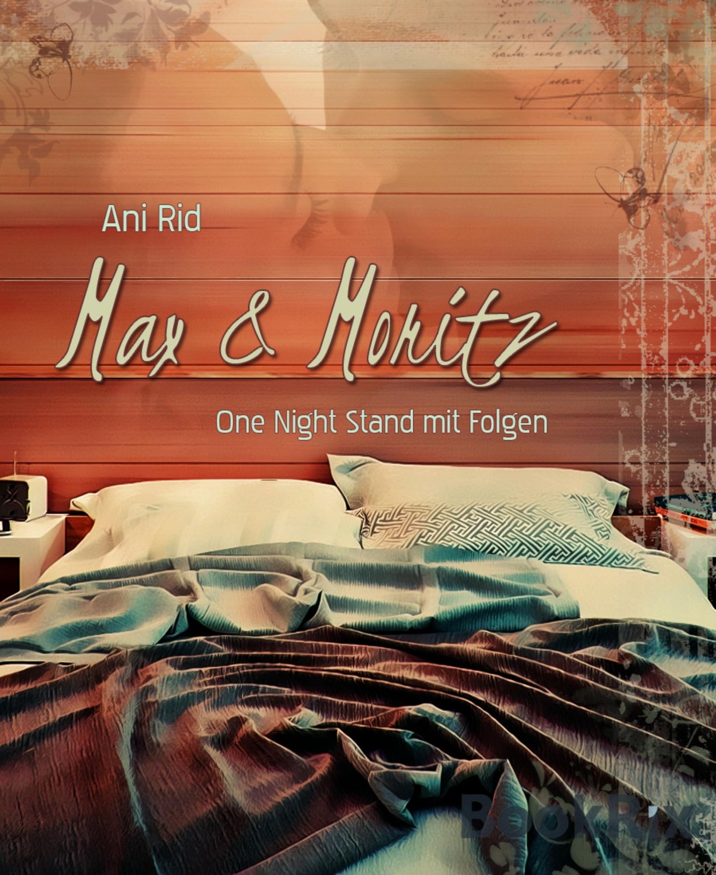 Max & Moritz: One Night Stand mit Folgen - Gay Romance