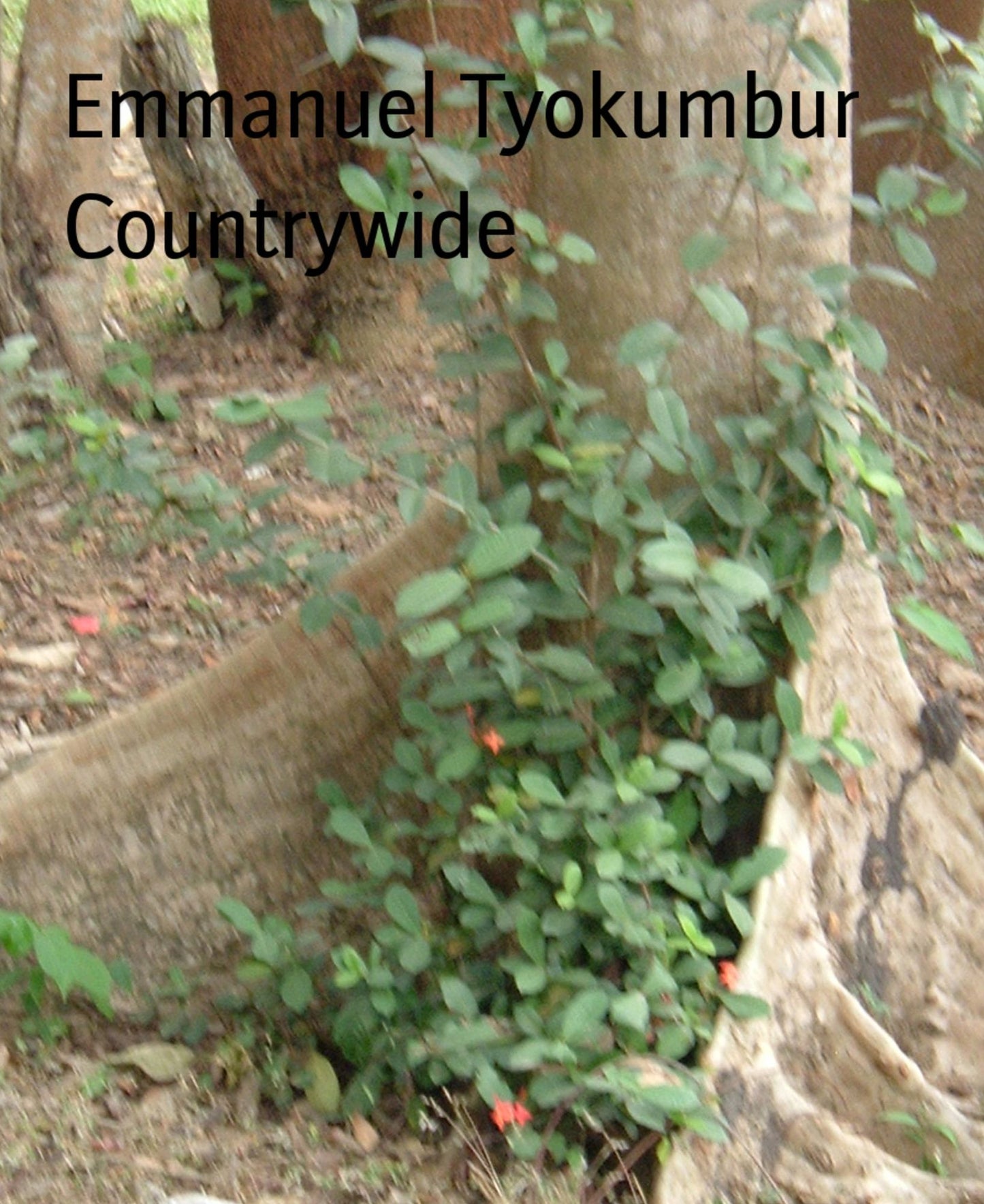 Countrywide: Developmental essays