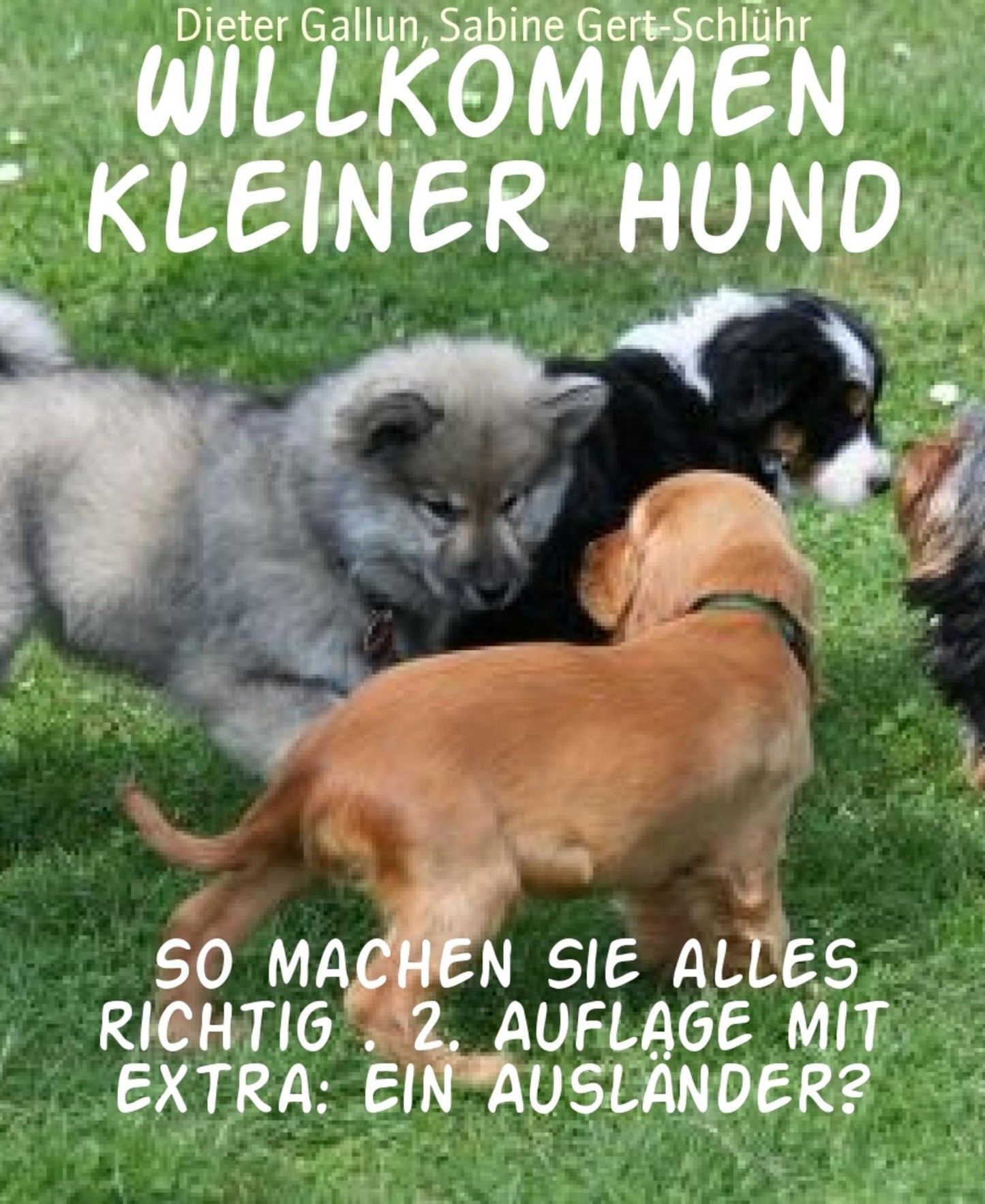 Willkommen kleiner Hund: So machen Sie alles richtig . 2. Auflage mit Extra: Ein Ausländer?