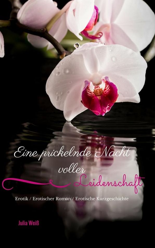 Eine prickelnde Nacht voller Leidenschaft Erotik / Erotischer Roman / Erotische Kurzgeschichte