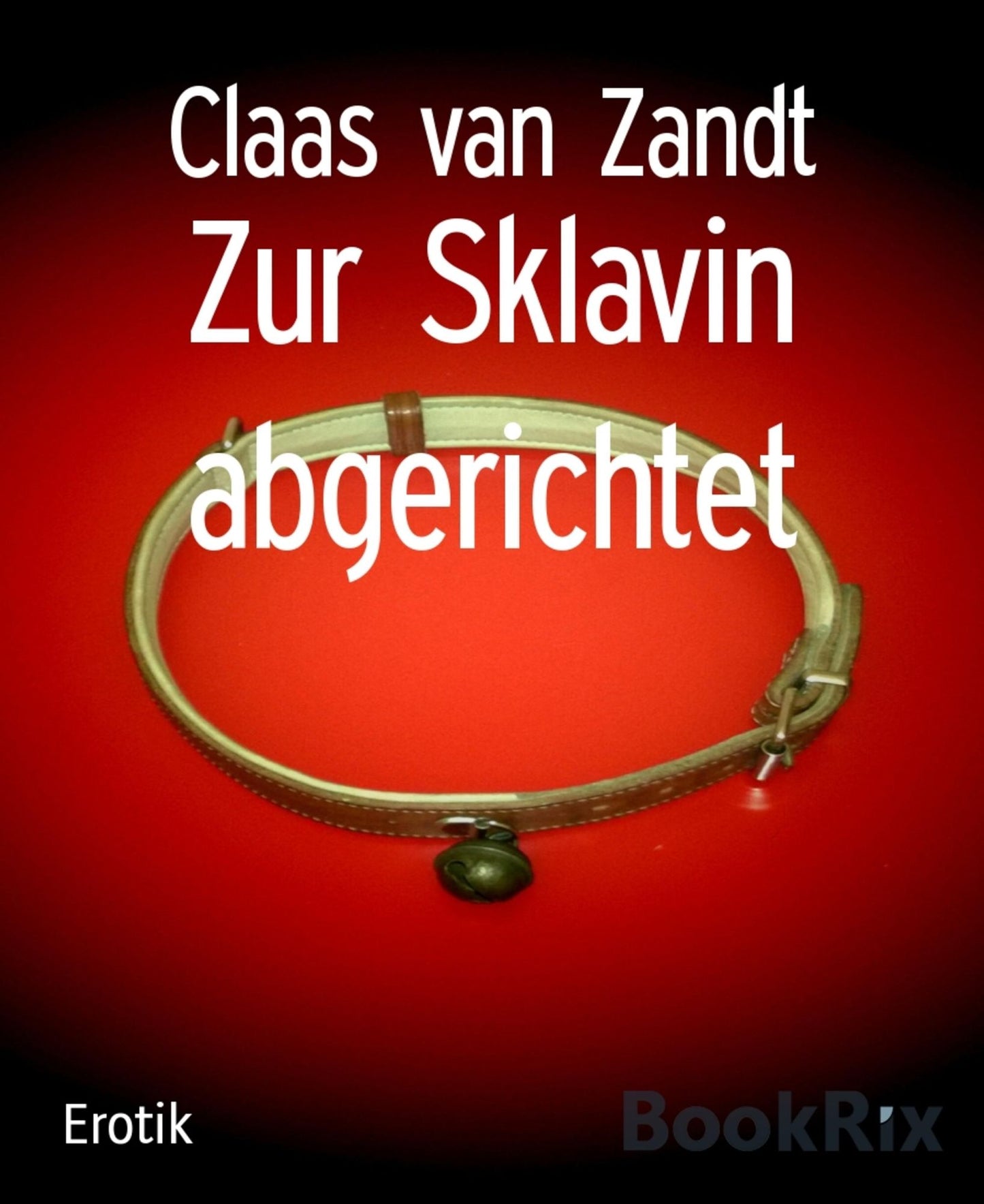 Zur Sklavin abgerichtet: BDSM-Kurzgeschichten
