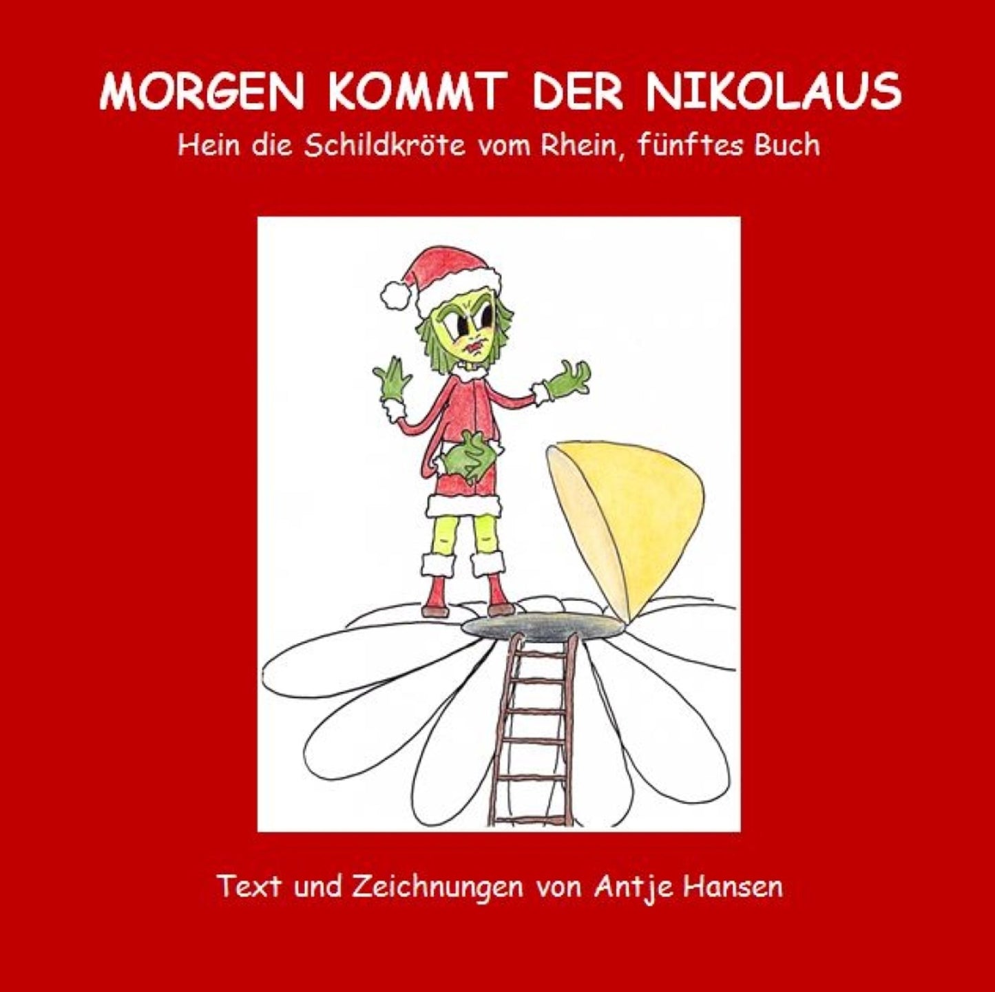 Morgen kommt der Nikolaus: Hein die Schildkröte vom Rhein, fünftes Buch