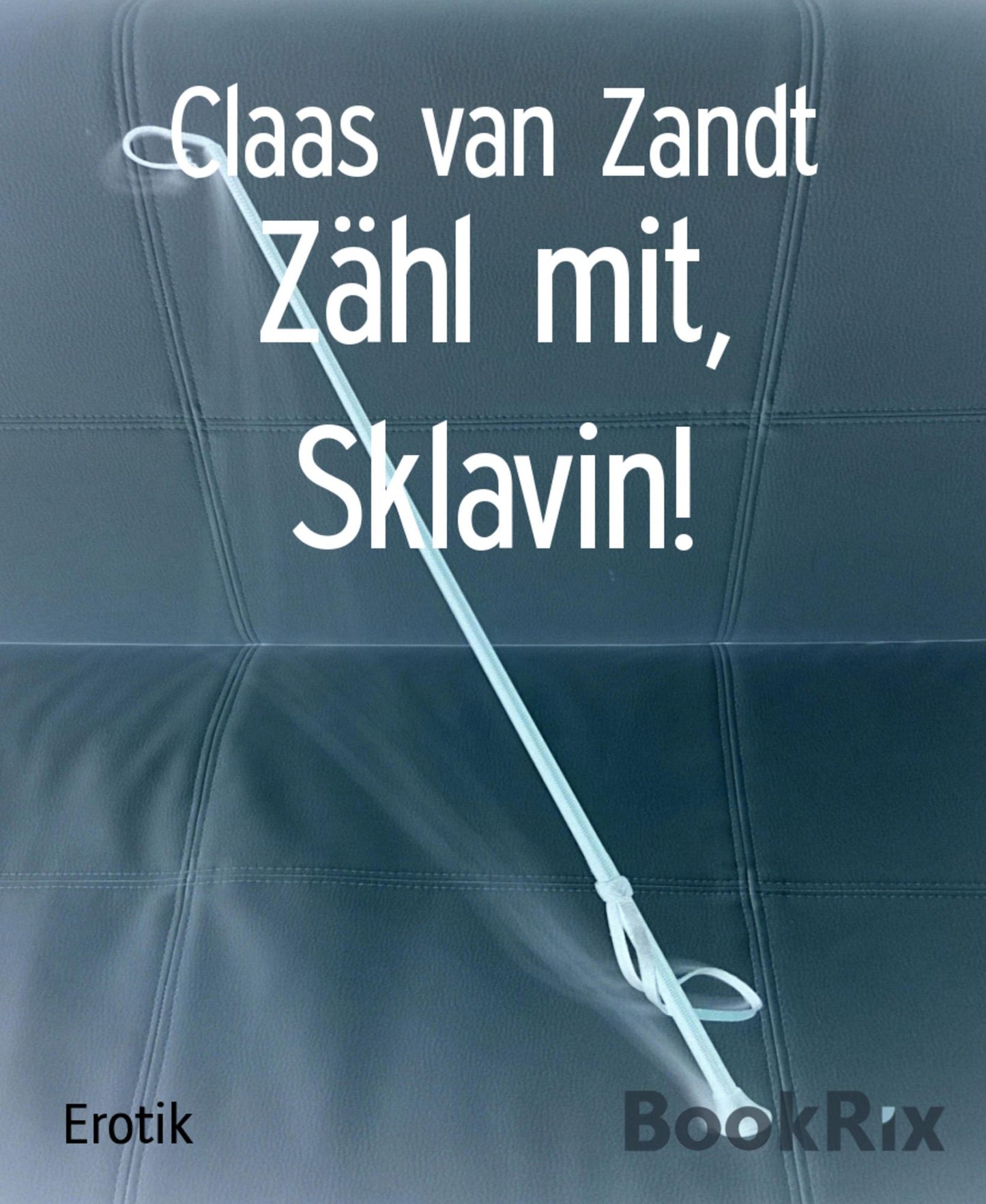 Zähl mit, Sklavin!: Real Life BDSM