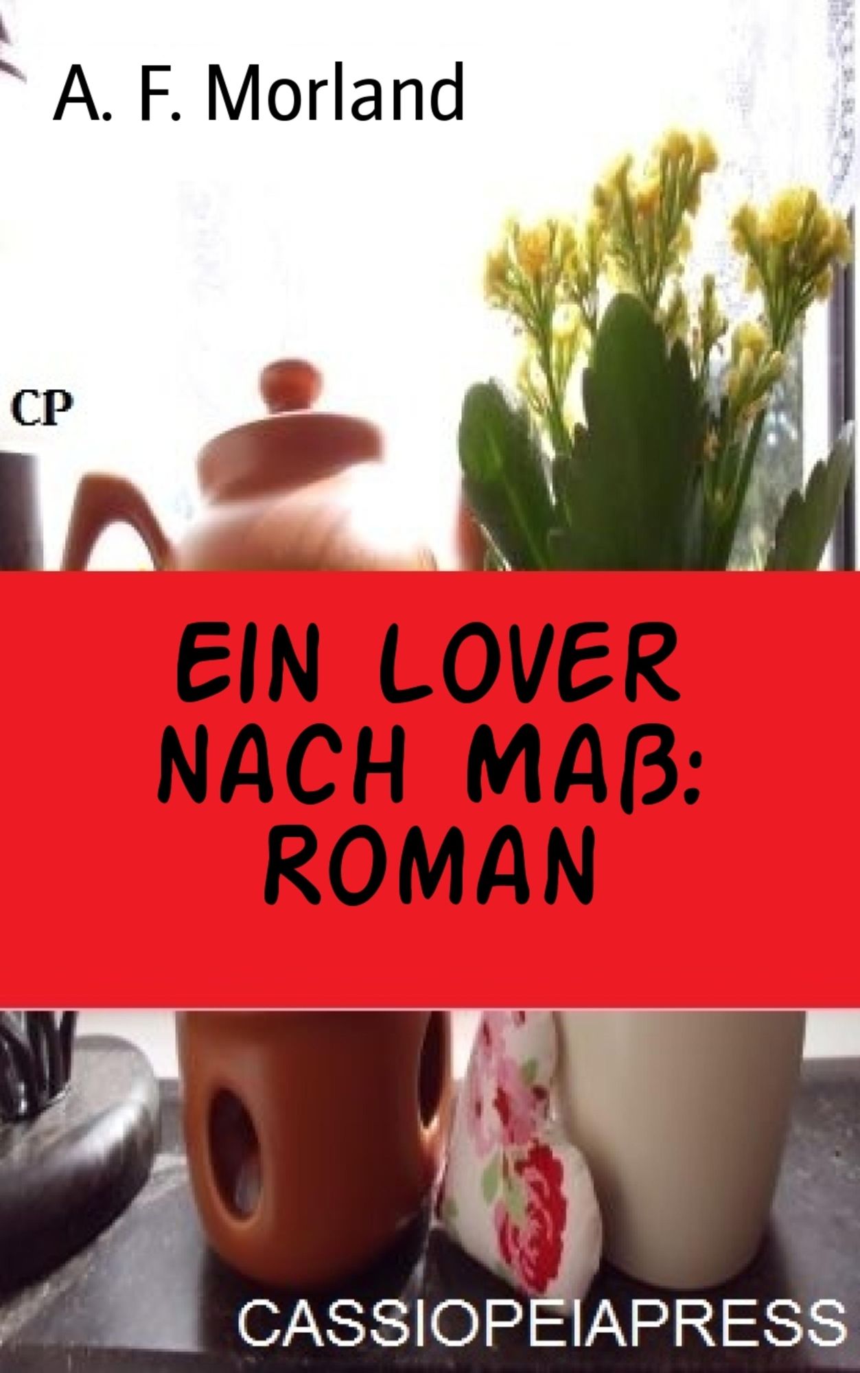 Ein Lover nach Maß: Roman
