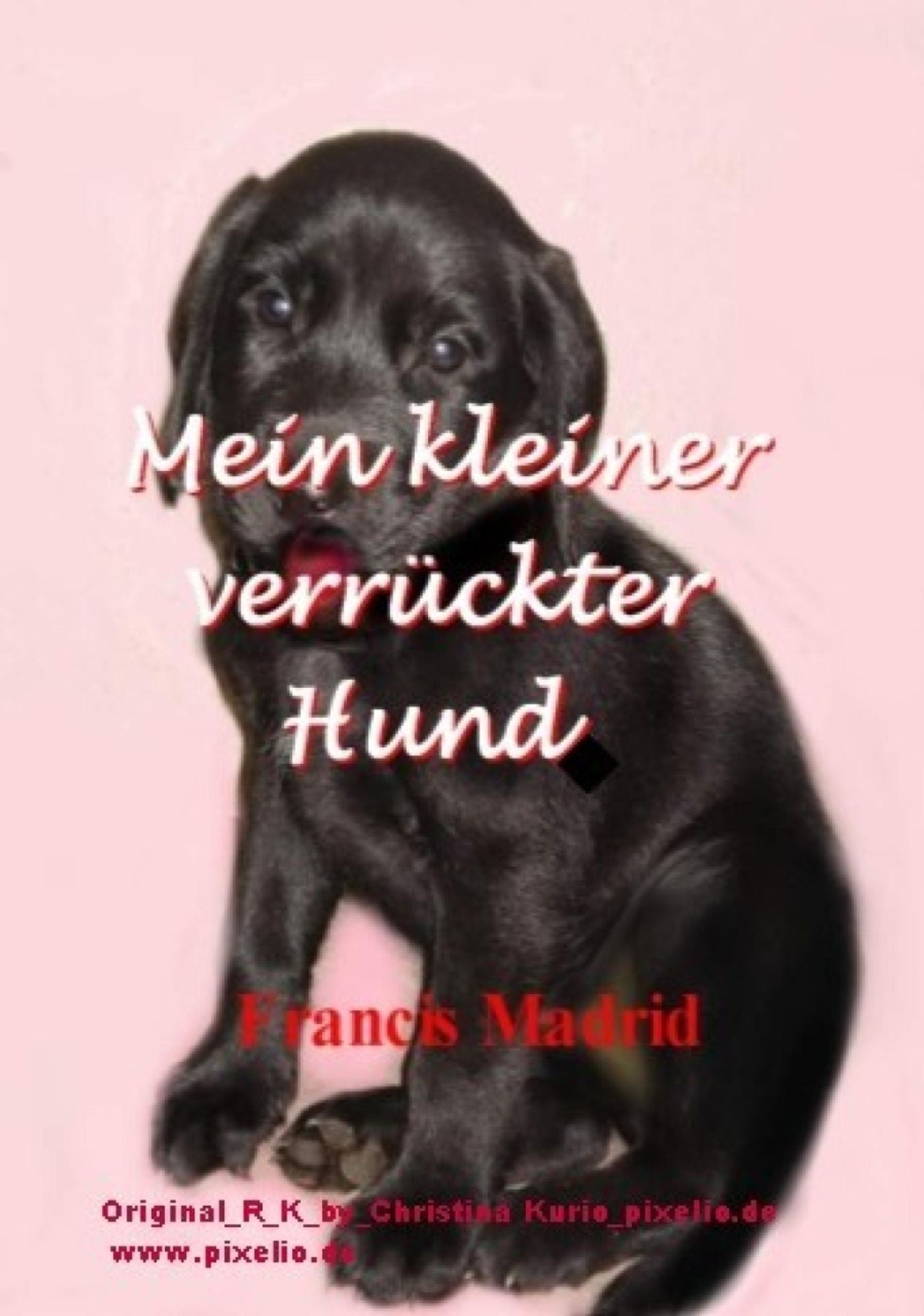 Mein kleiner verrückter Hund: V.3.16
