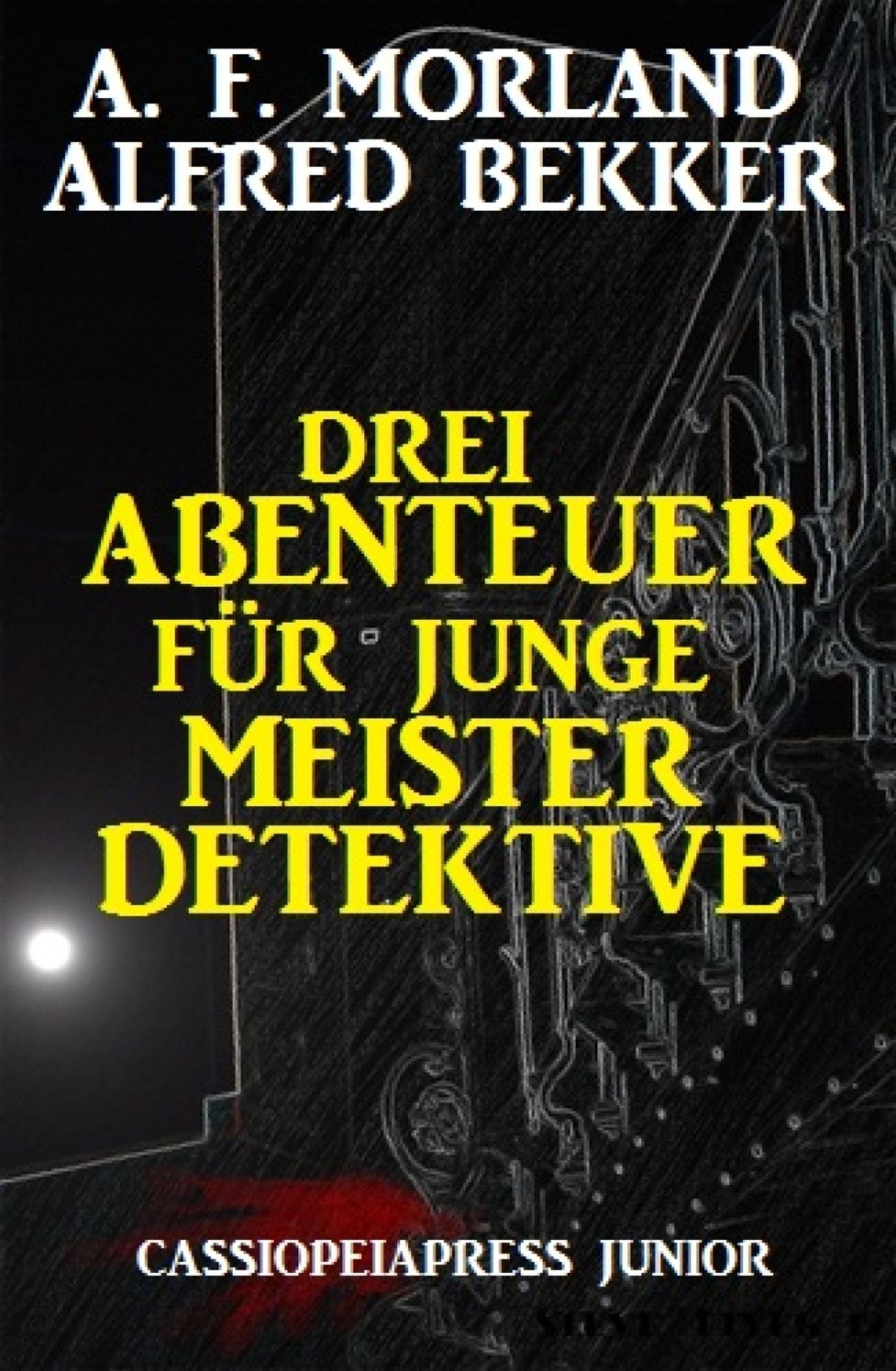 Drei Abenteuer für junge Meisterdetektive