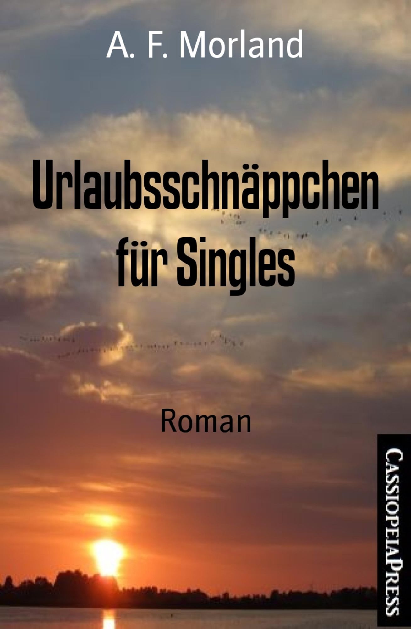 Urlaubsschnäppchen für Singles: Roman