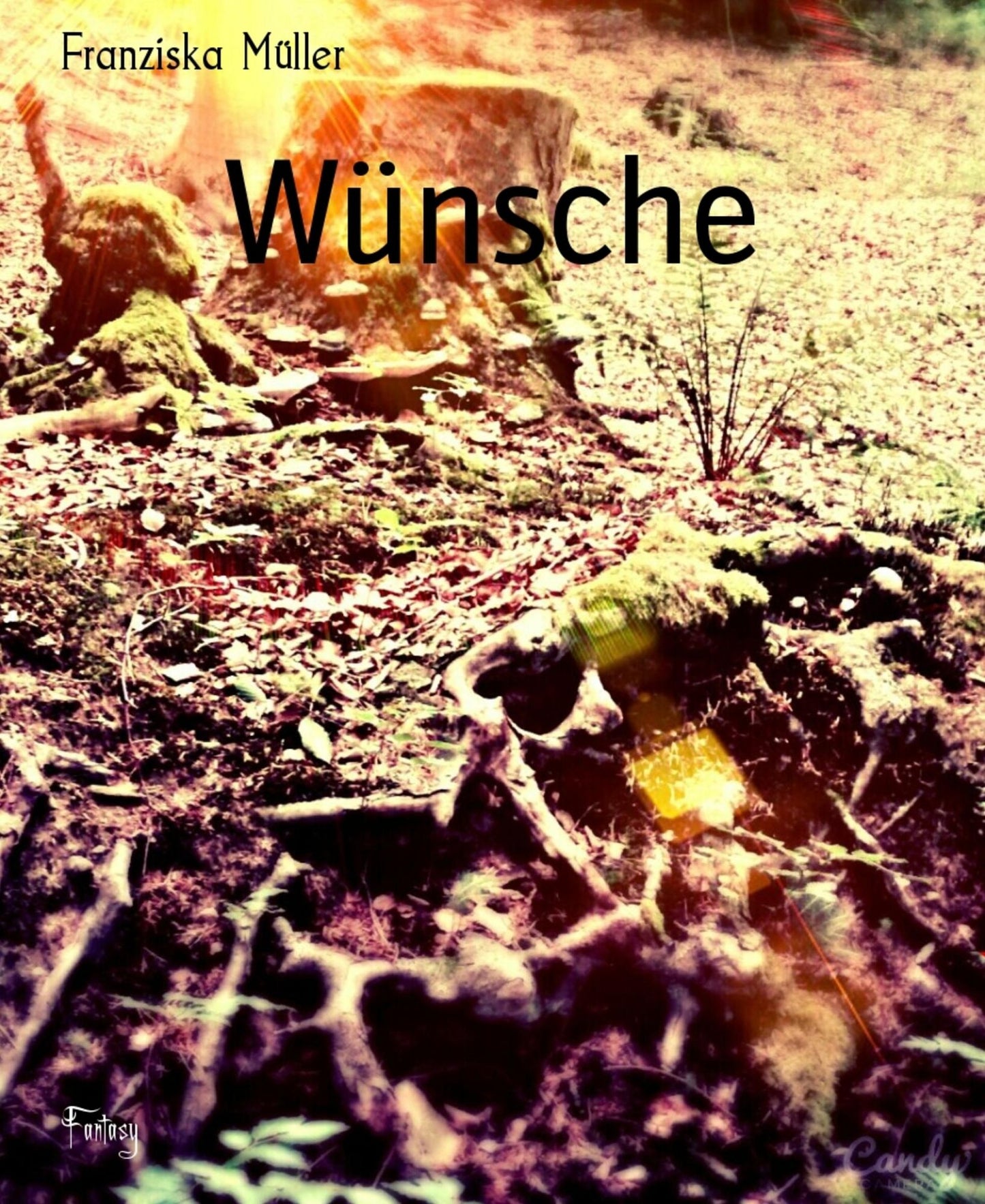 Wünsche