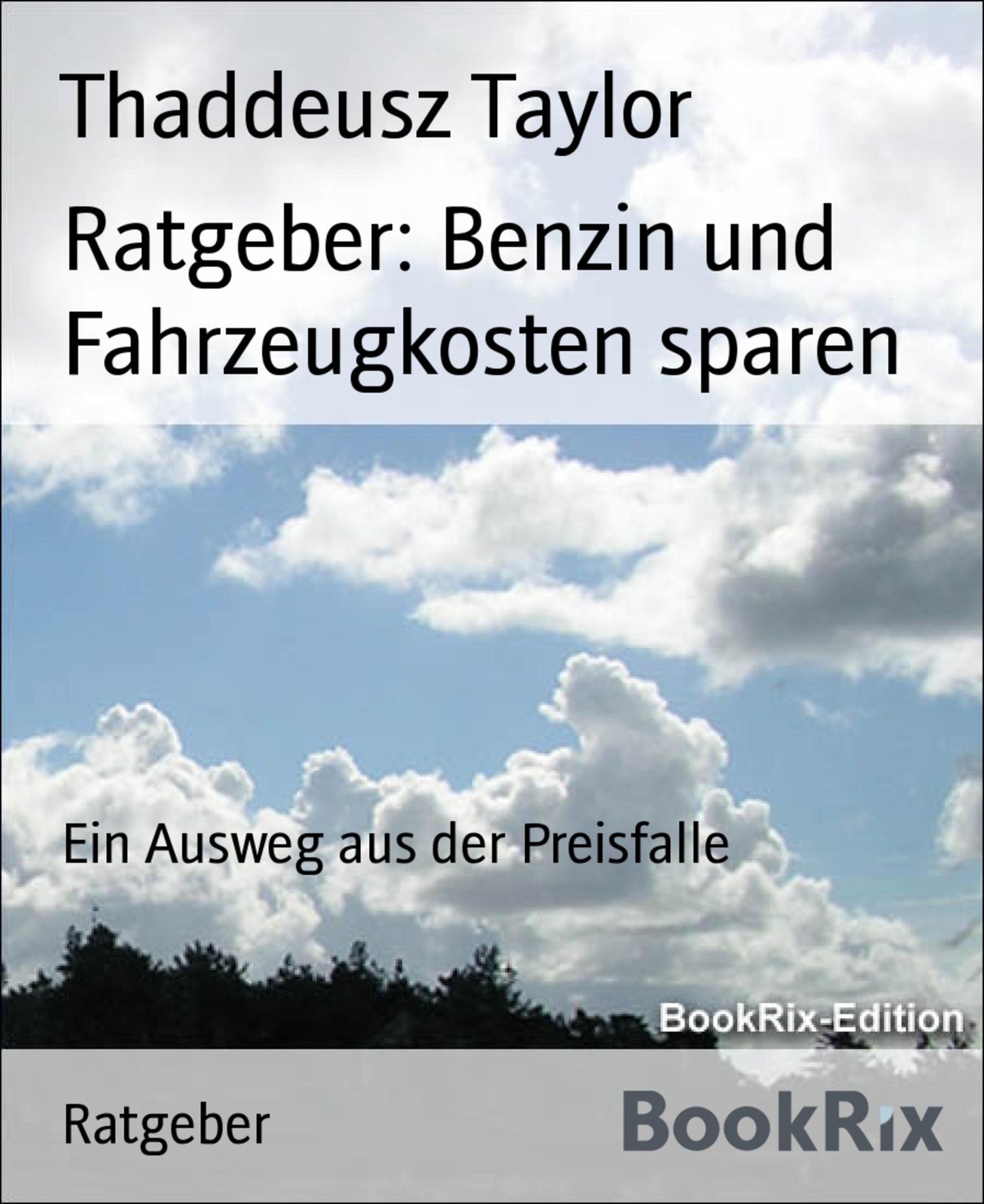 Ratgeber: Benzin und Kosten sparen: Ein Ausweg aus der Preisfalle