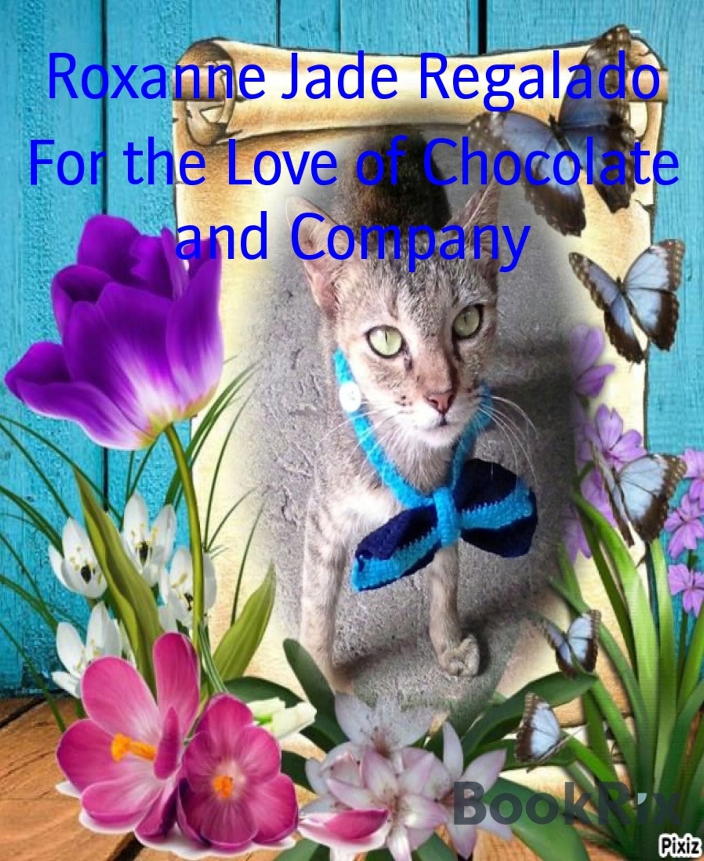 For the Love of Chocolate and Company: A very much loved and lucky cat and her companions
