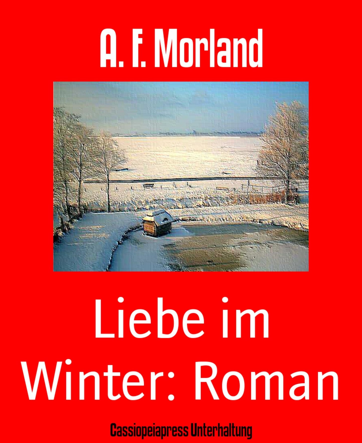 Liebe im Winter: Roman: Cassiopeiapress Unterhaltung