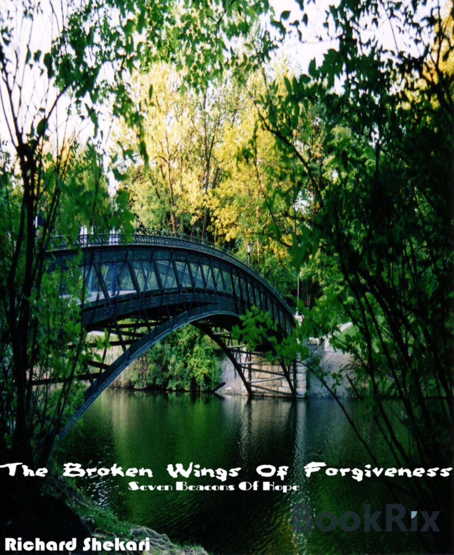 The broken wings of forgiveness: Seven beacons of hope