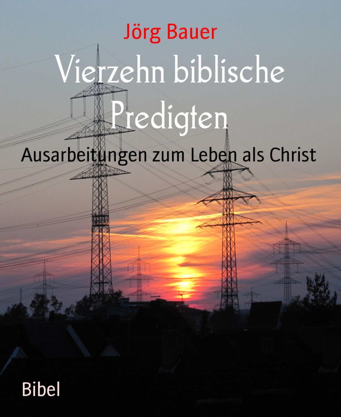 Vierzehn biblische Predigten: Ausarbeitungen zum Leben als Christ