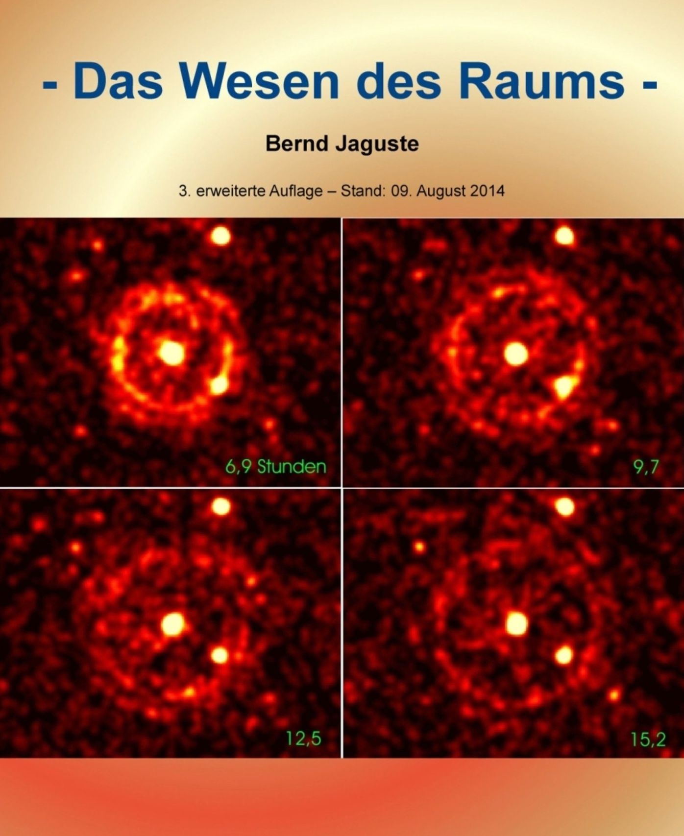 Das Wesen des Raums: 3. erweiterte Auflage