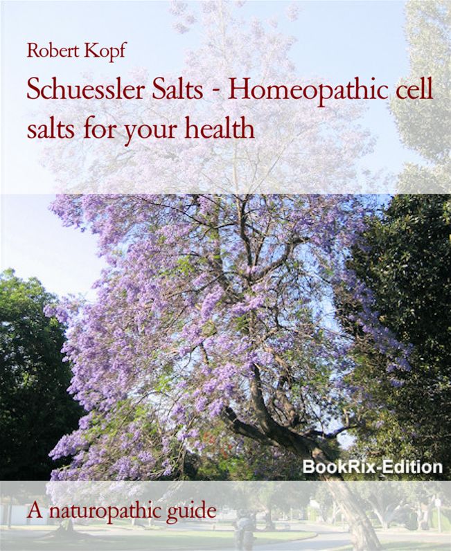 Schuessler Salts - Homeopathic cell salts for your health: A naturopathic and biochemical guide