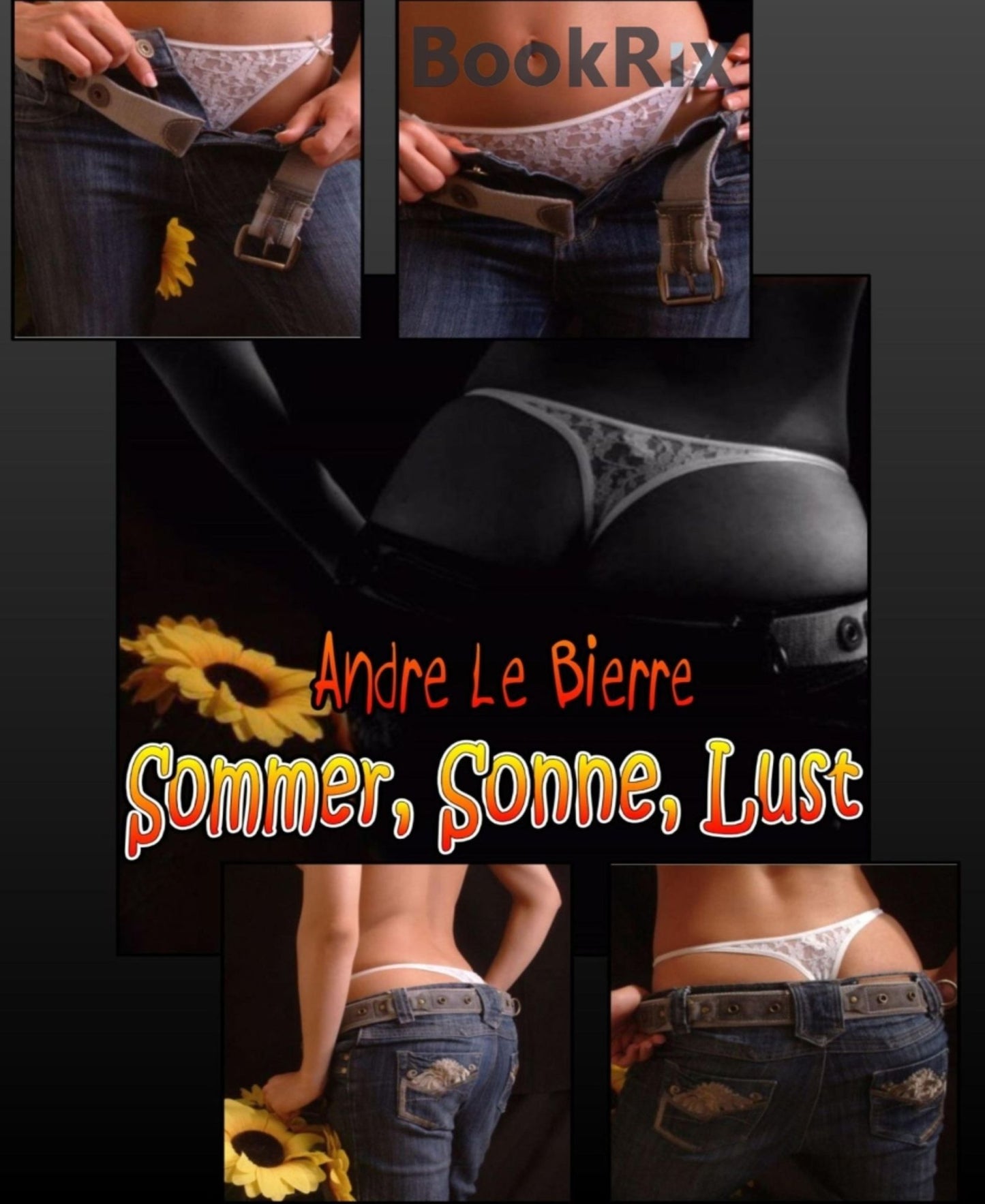 Sommer, Sonne, Lust: Erotikgeschichten