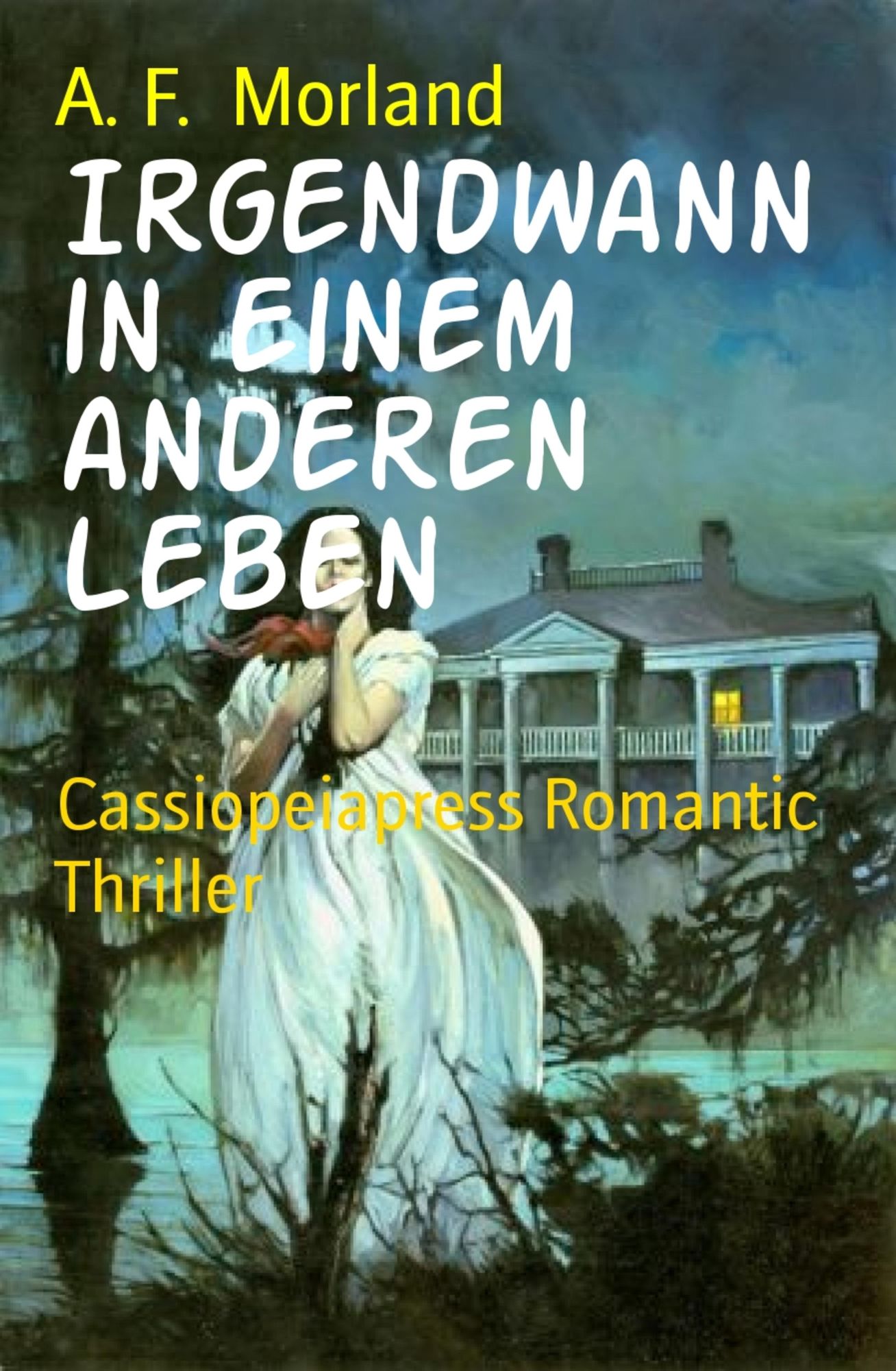 Irgendwann in einem anderen Leben: Cassiopeiapress Romantic Thriller