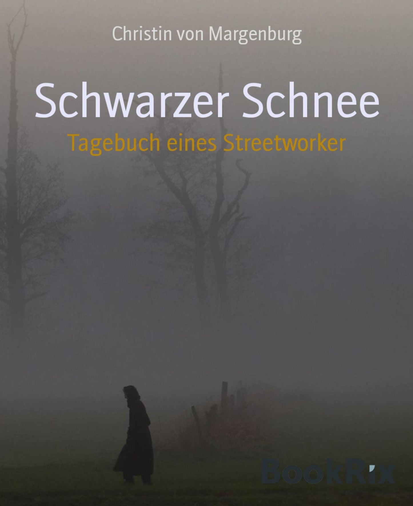 Schwarzer Schnee: Tagebuch eines Streetworker