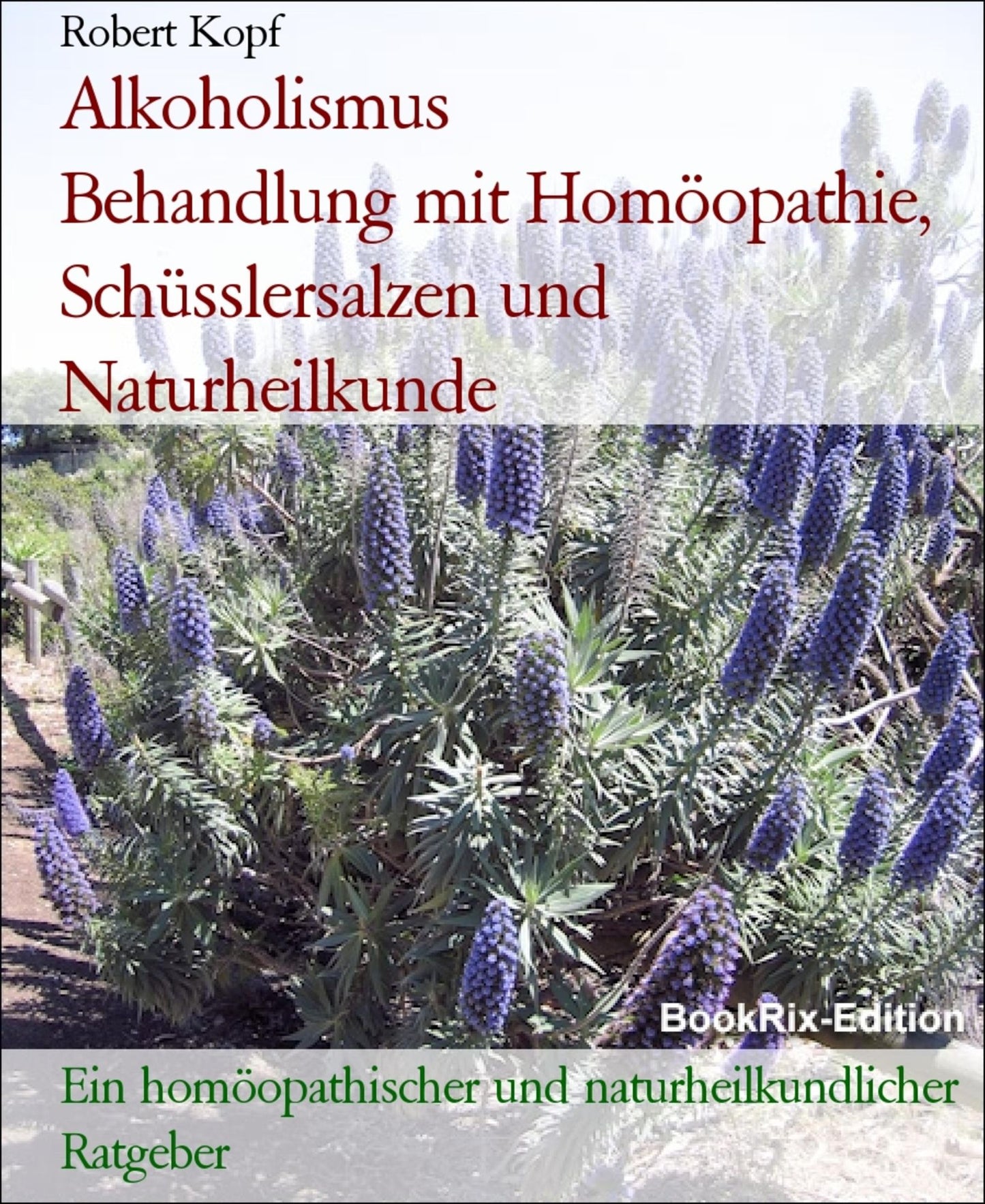 Alkoholismus, Alkoholsucht - Alkoholabhängigkeit behandeln mit Homöopathie, Schüsslersalzen und Naturheilkunde: Ein homöopathischer, biochemischer und naturheilkundlicher Ratgeber