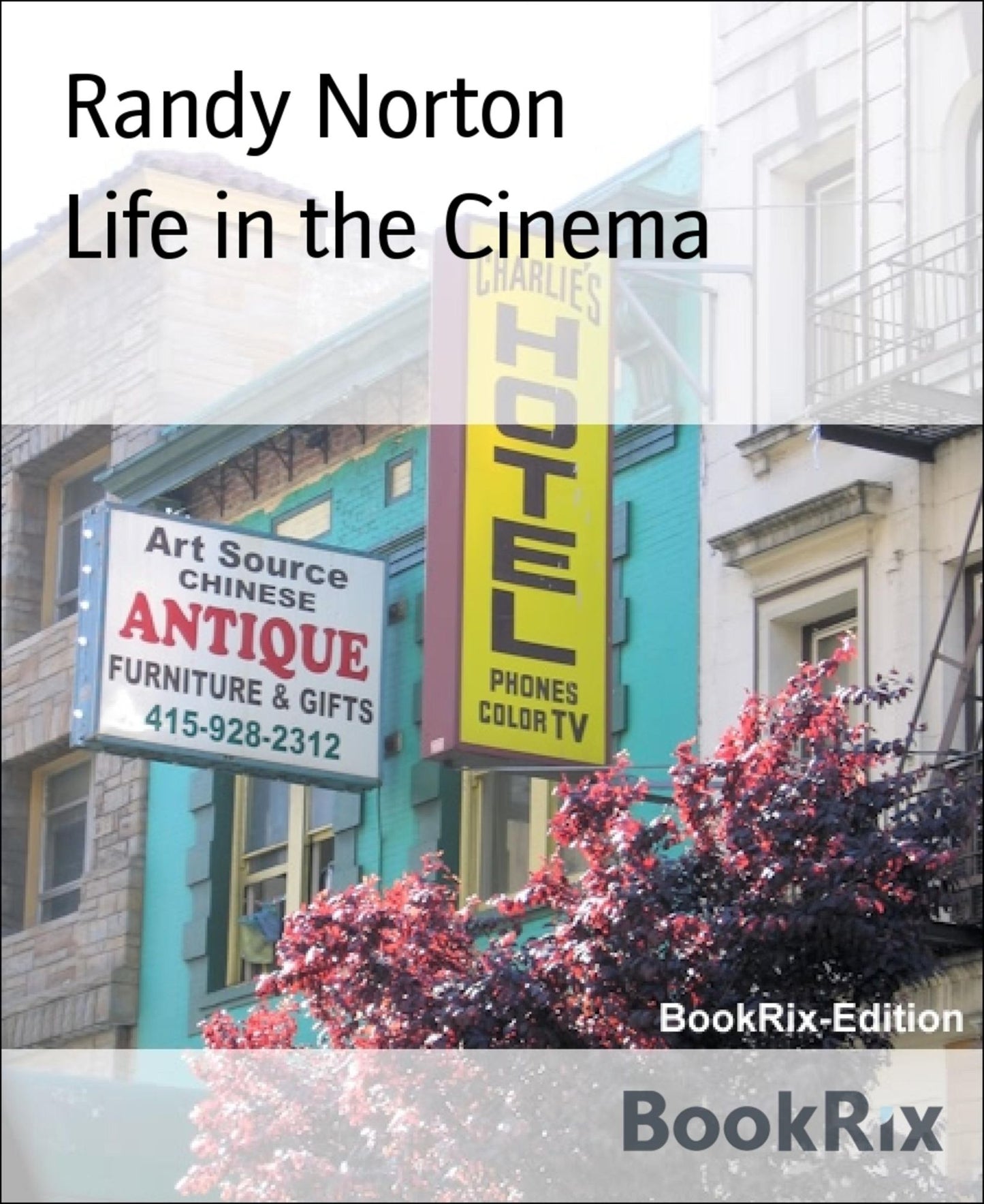 Life in the Cinema