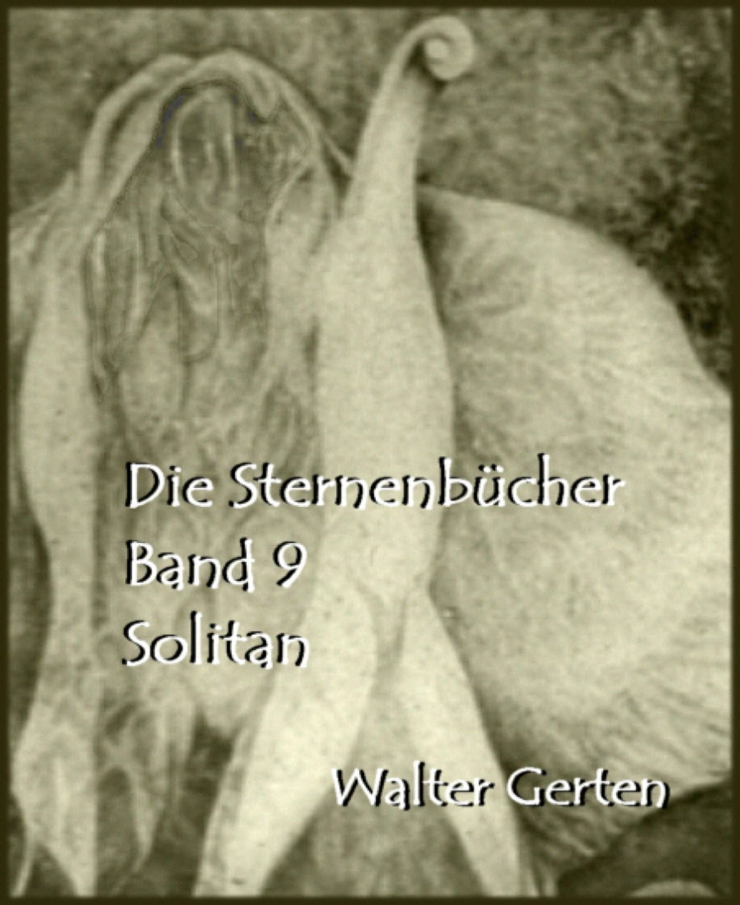 Die Sternenbücher Band 9 Solitan