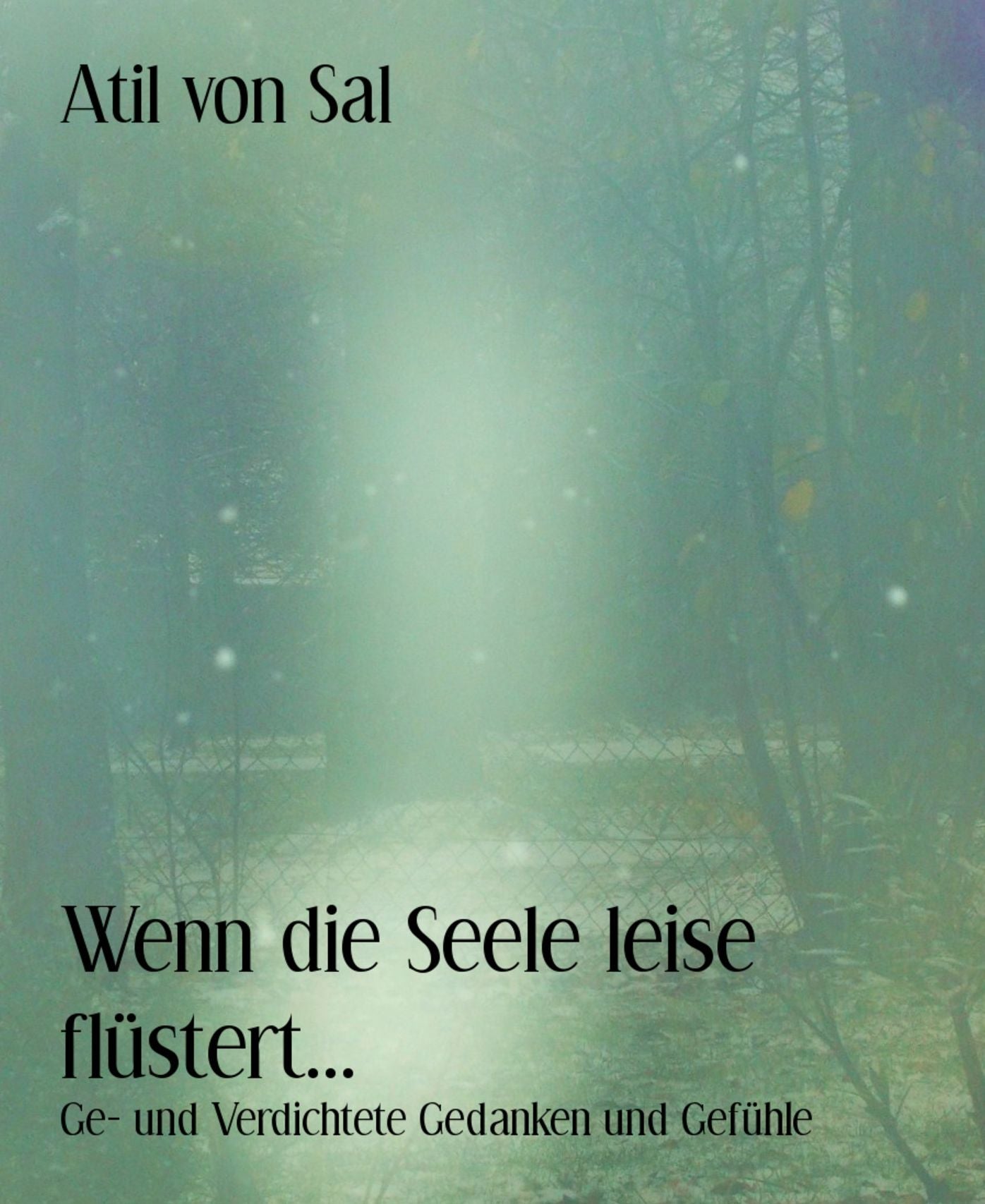 Wenn die Seele leise flüstert...: Ge- und Verdichtete Gedanken und Gefühle