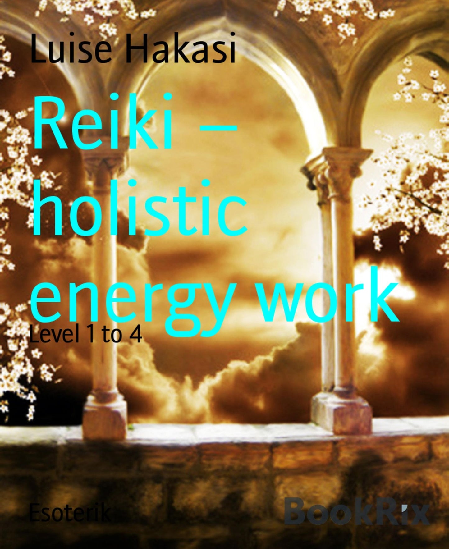Reiki - holistic energy work: Level 1 to 4