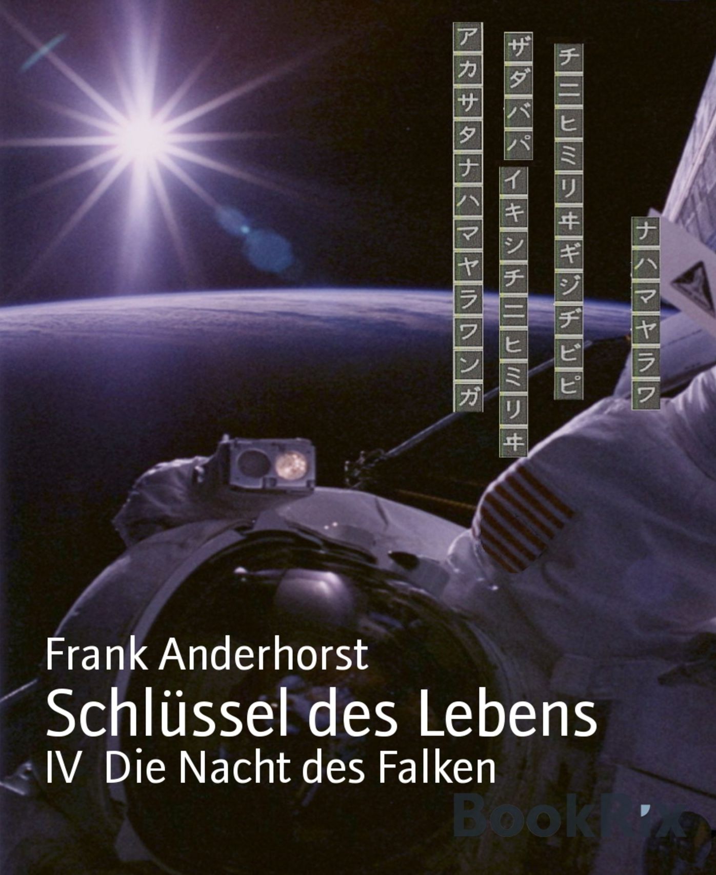 IV Die Nacht des Falken: Schlüssel des Lebens