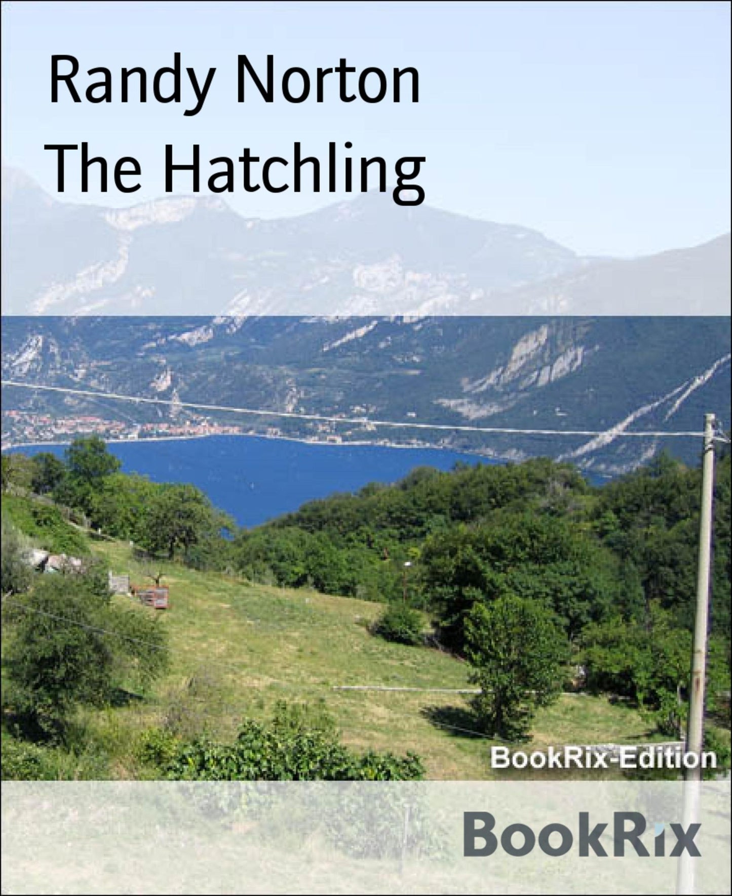 The Hatchling