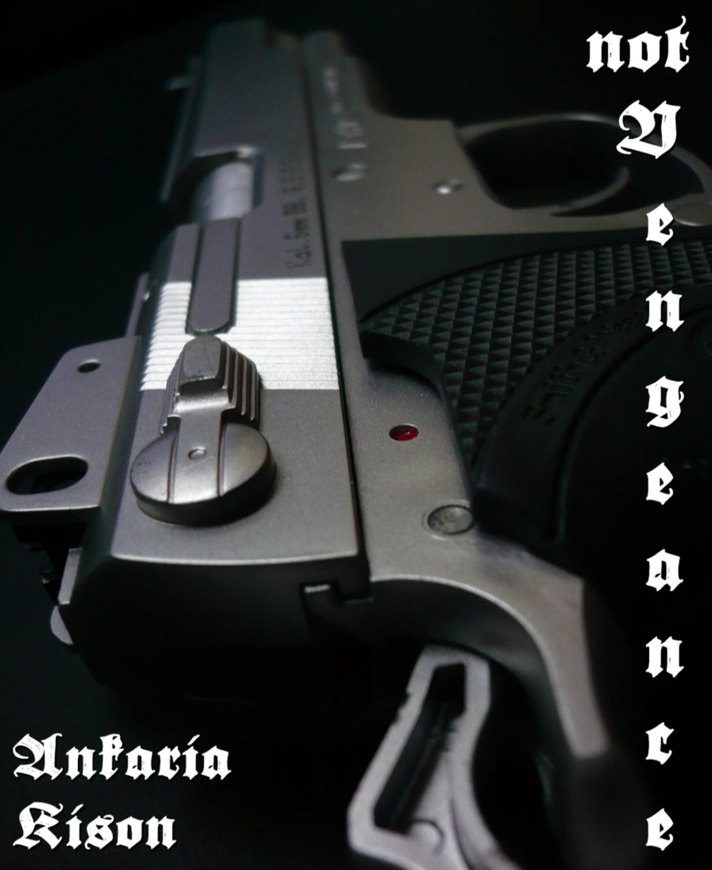 not Vengeance: Thriller